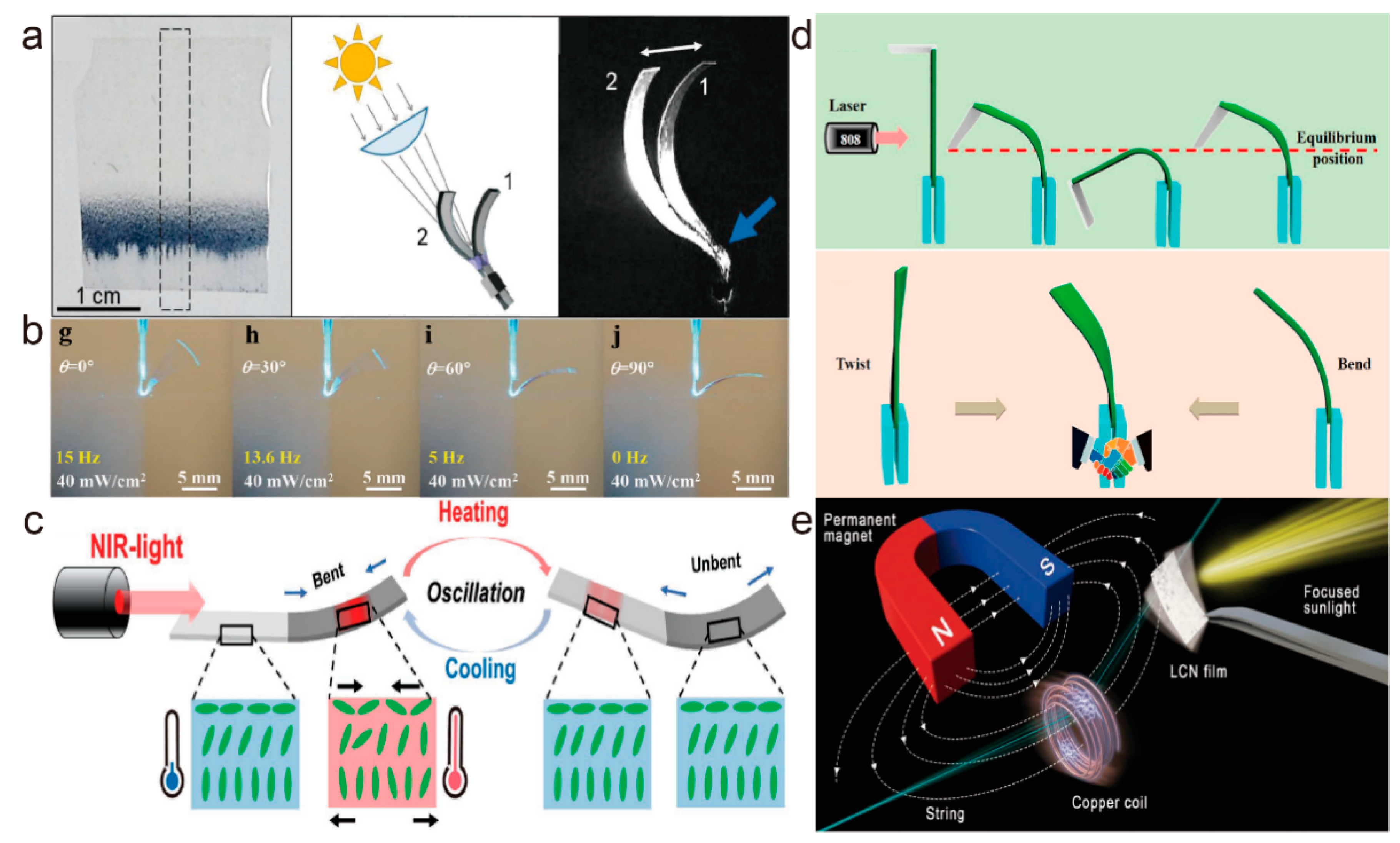 Molecules 27 04330 g014