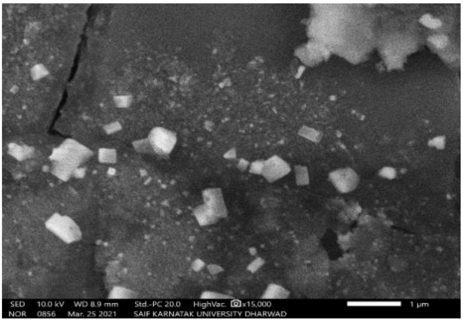 Molecules 27 04336 g004 550