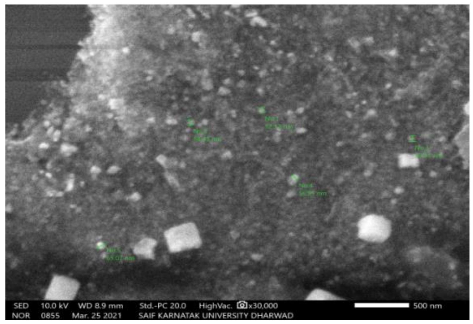 Molecules 27 04336 g005 550