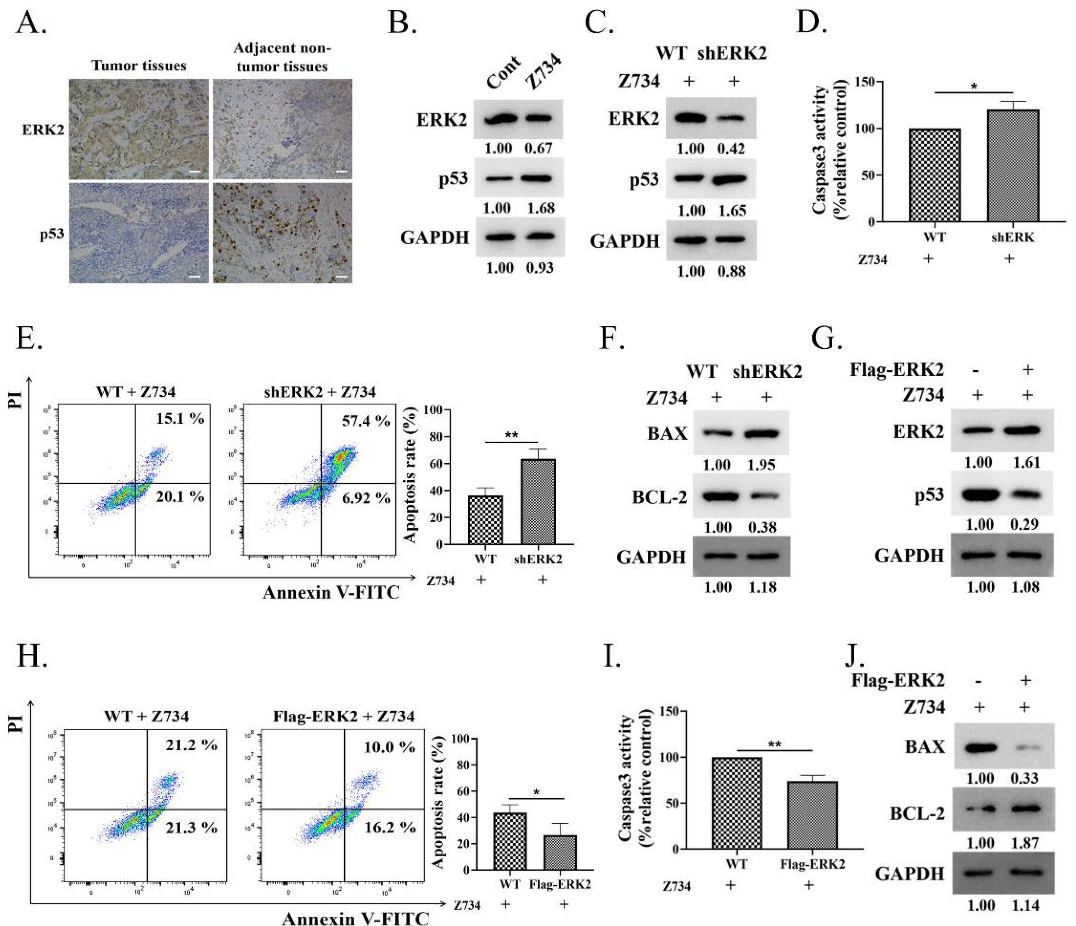Molecules 27 04337 g003