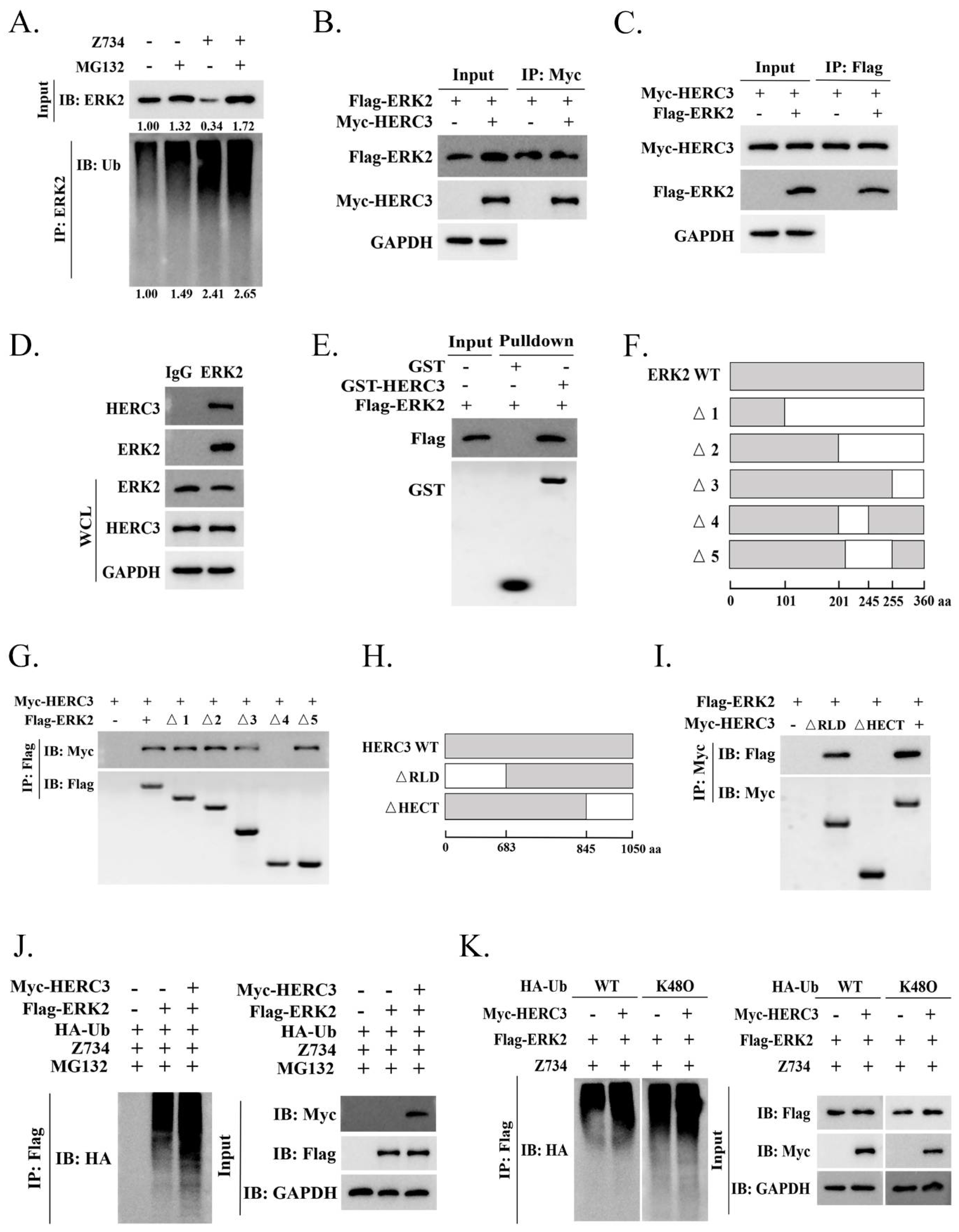 Molecules 27 04337 g004