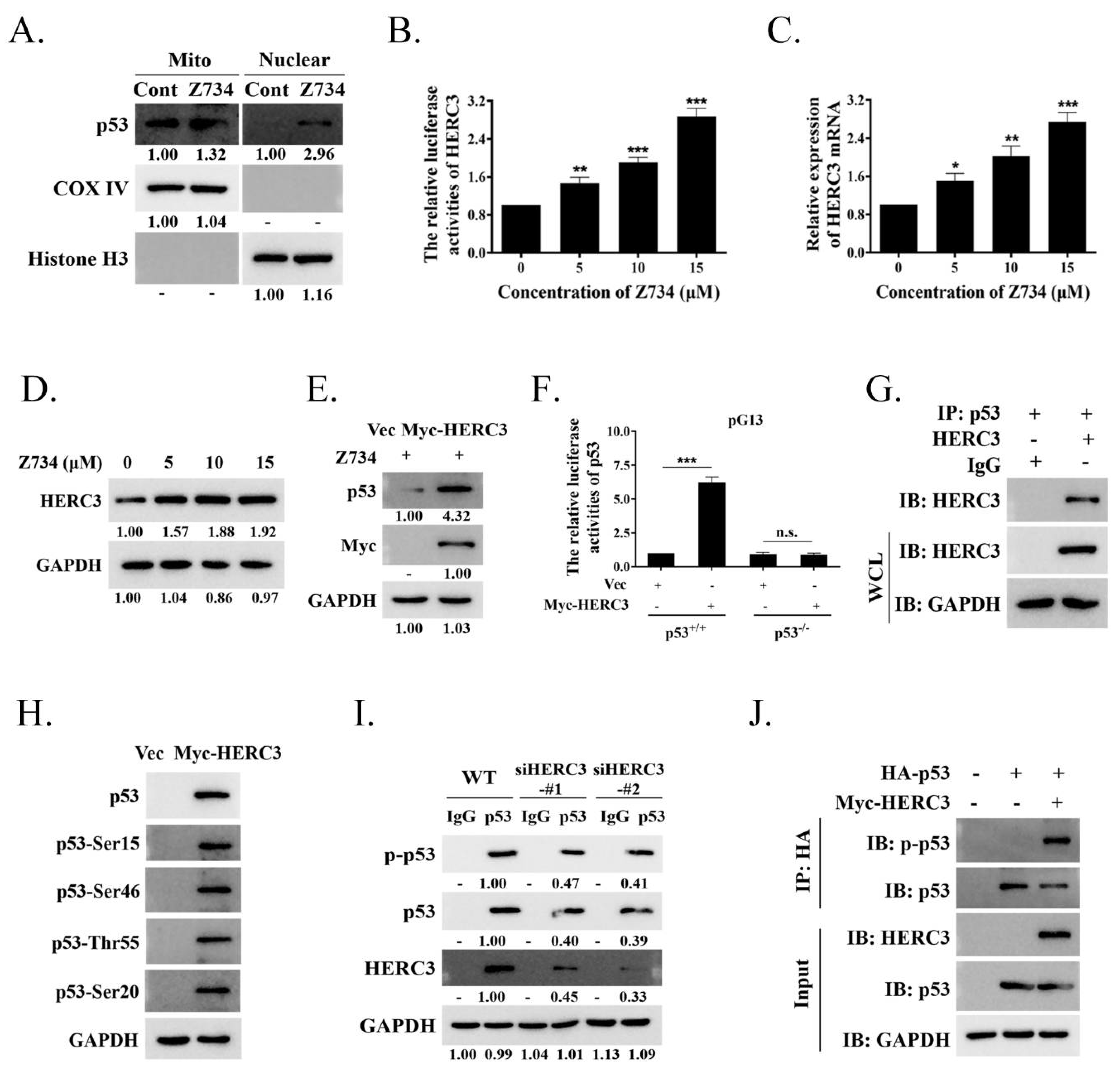 Molecules 27 04337 g005