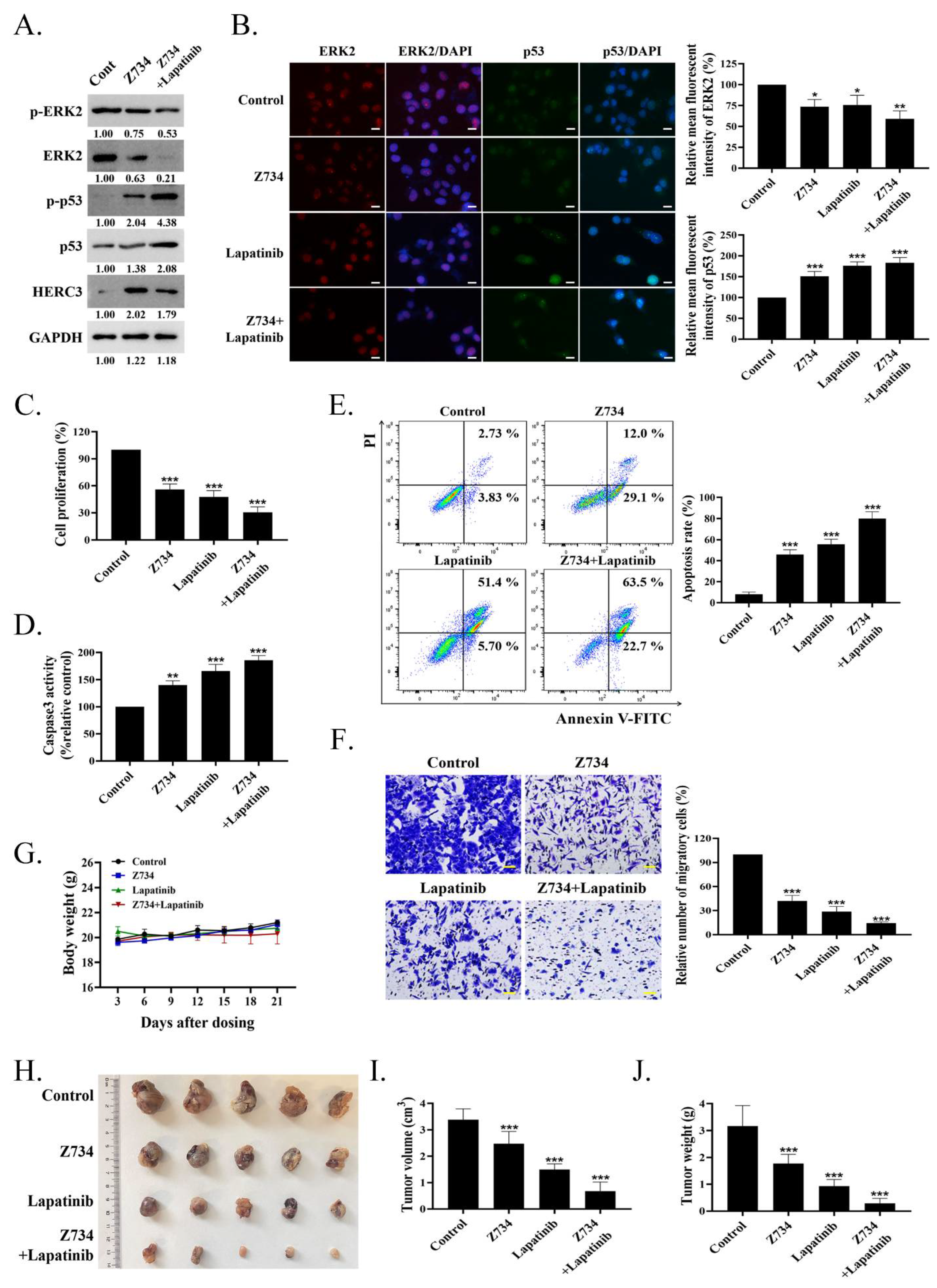 Molecules 27 04337 g006