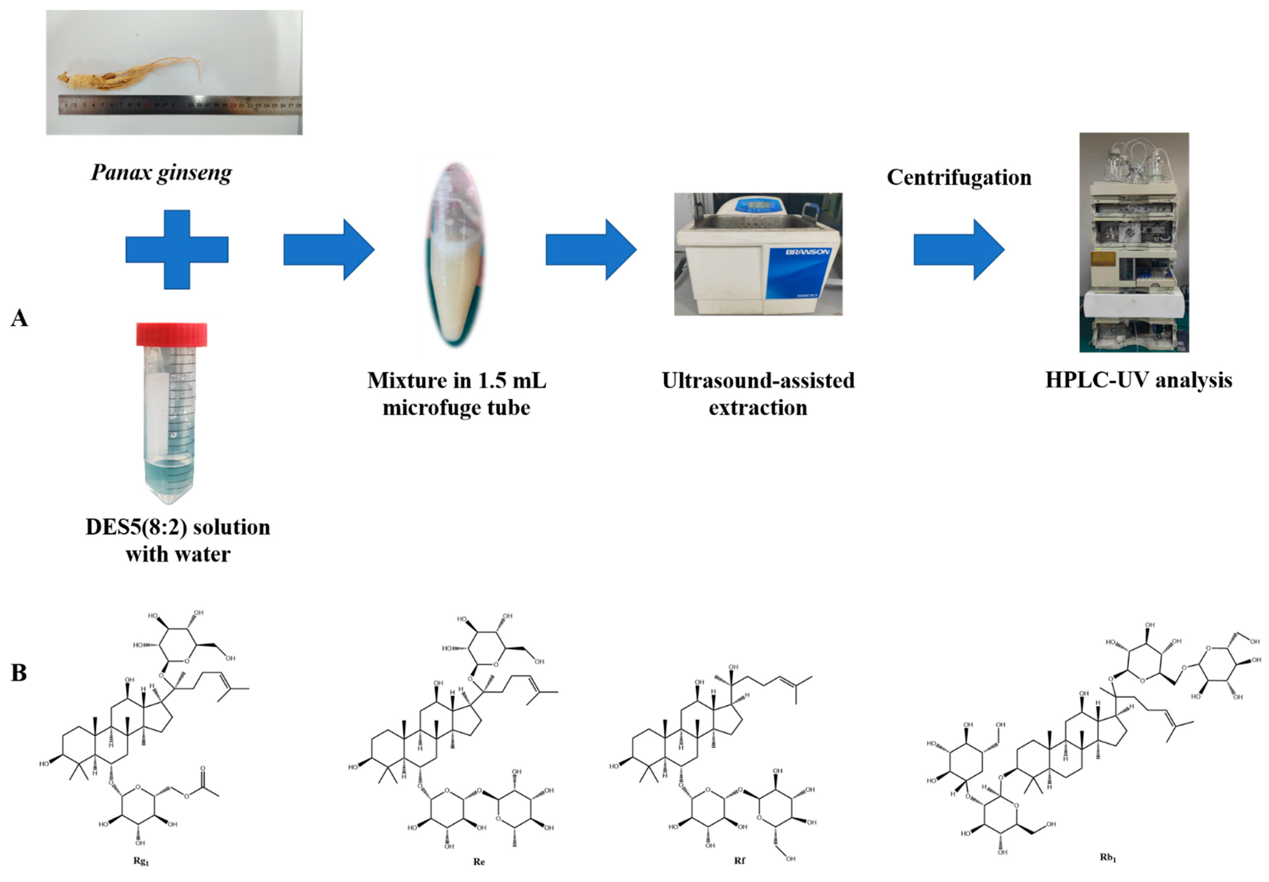Molecules 27 04339 g002