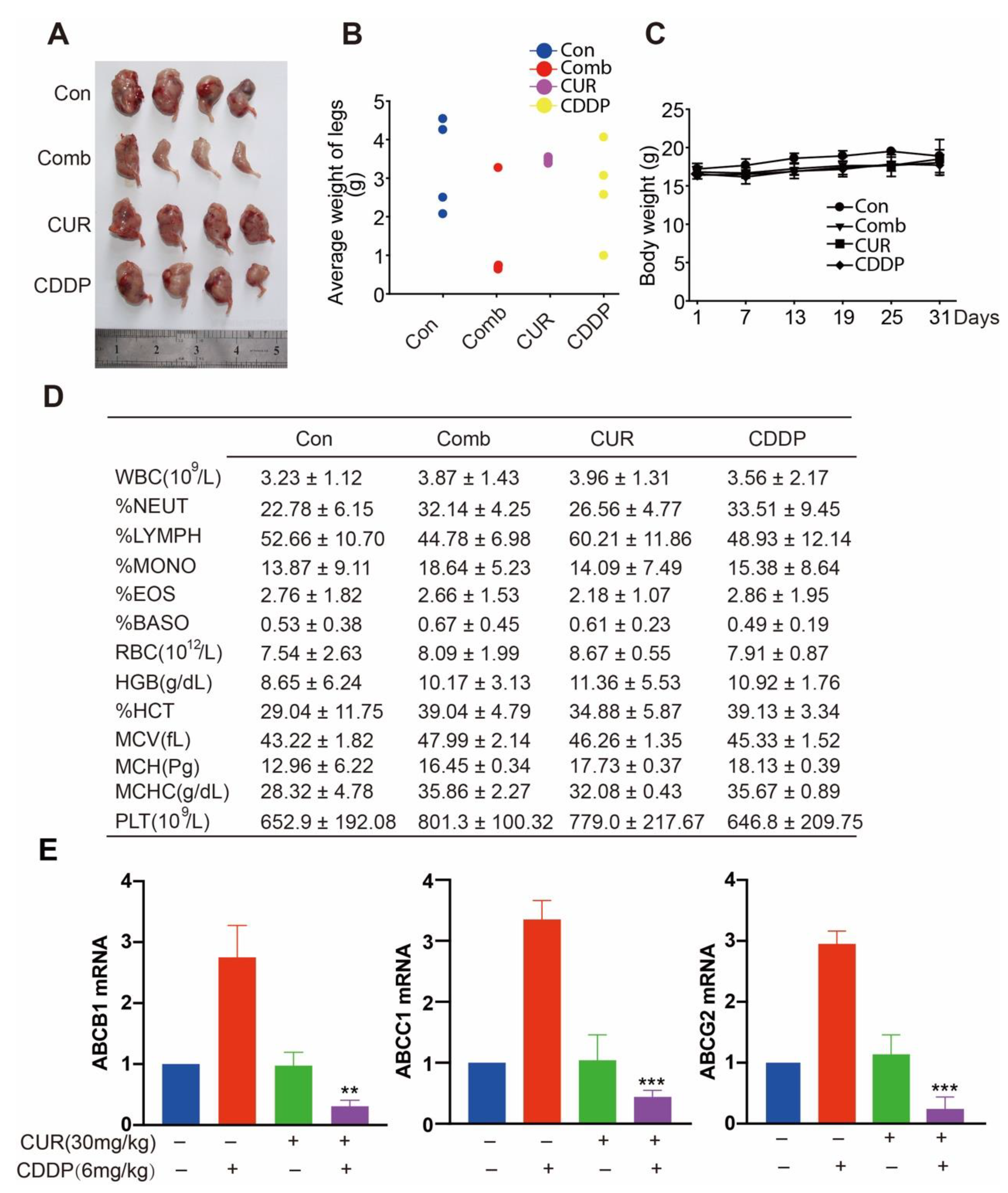 Molecules 27 04345 g004