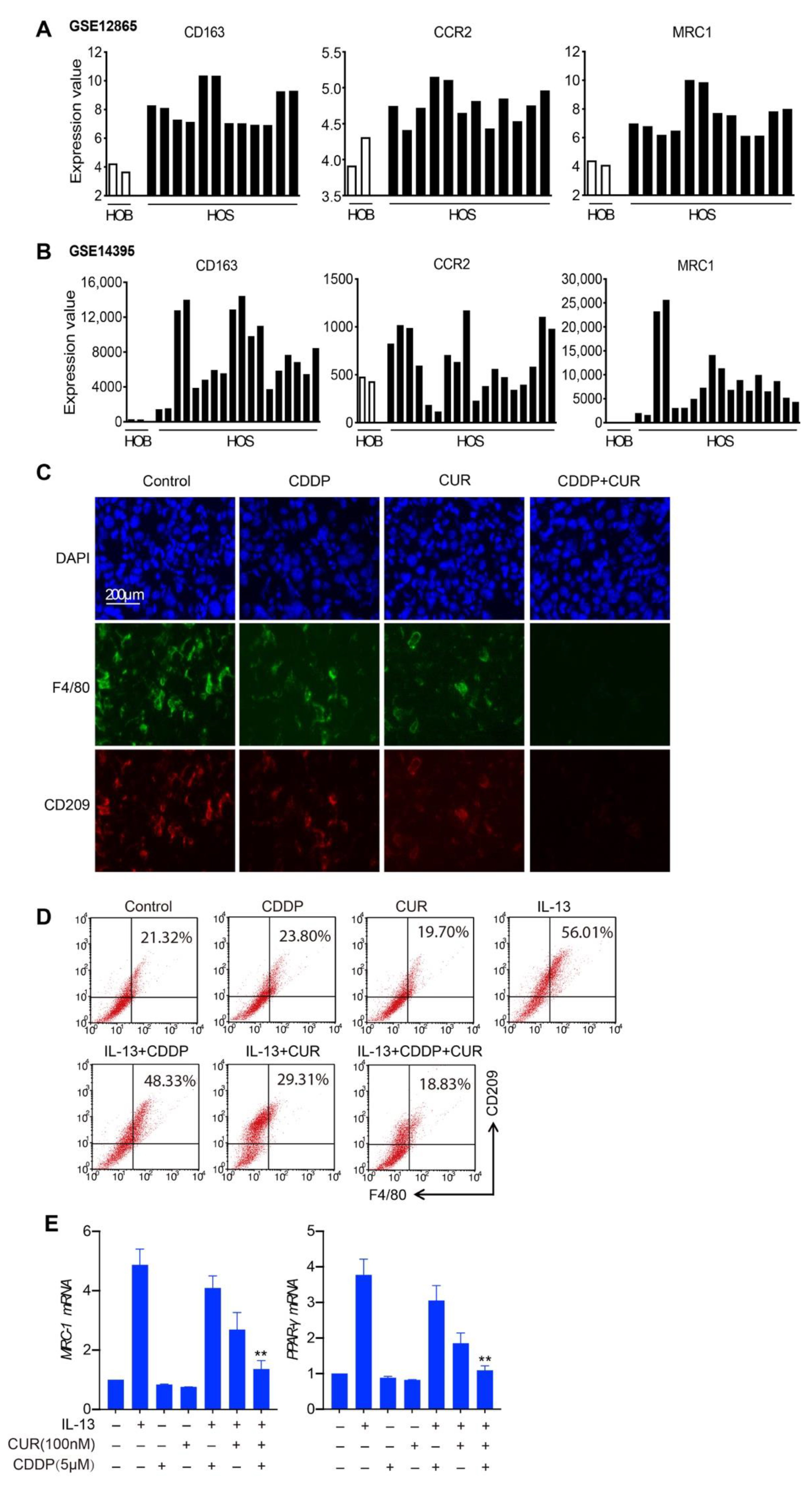 Molecules 27 04345 g005