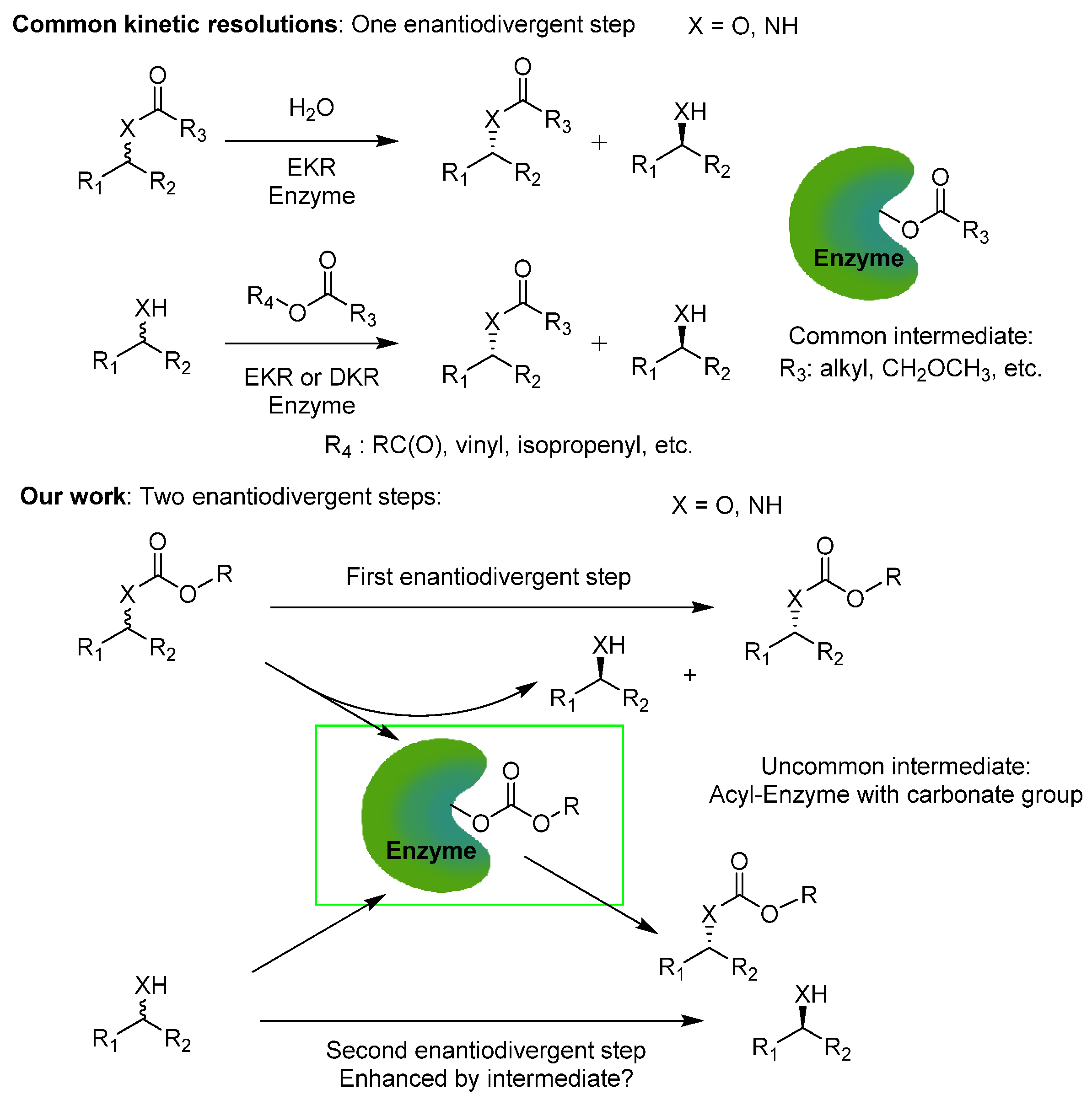 Molecules 27 04346 sch001