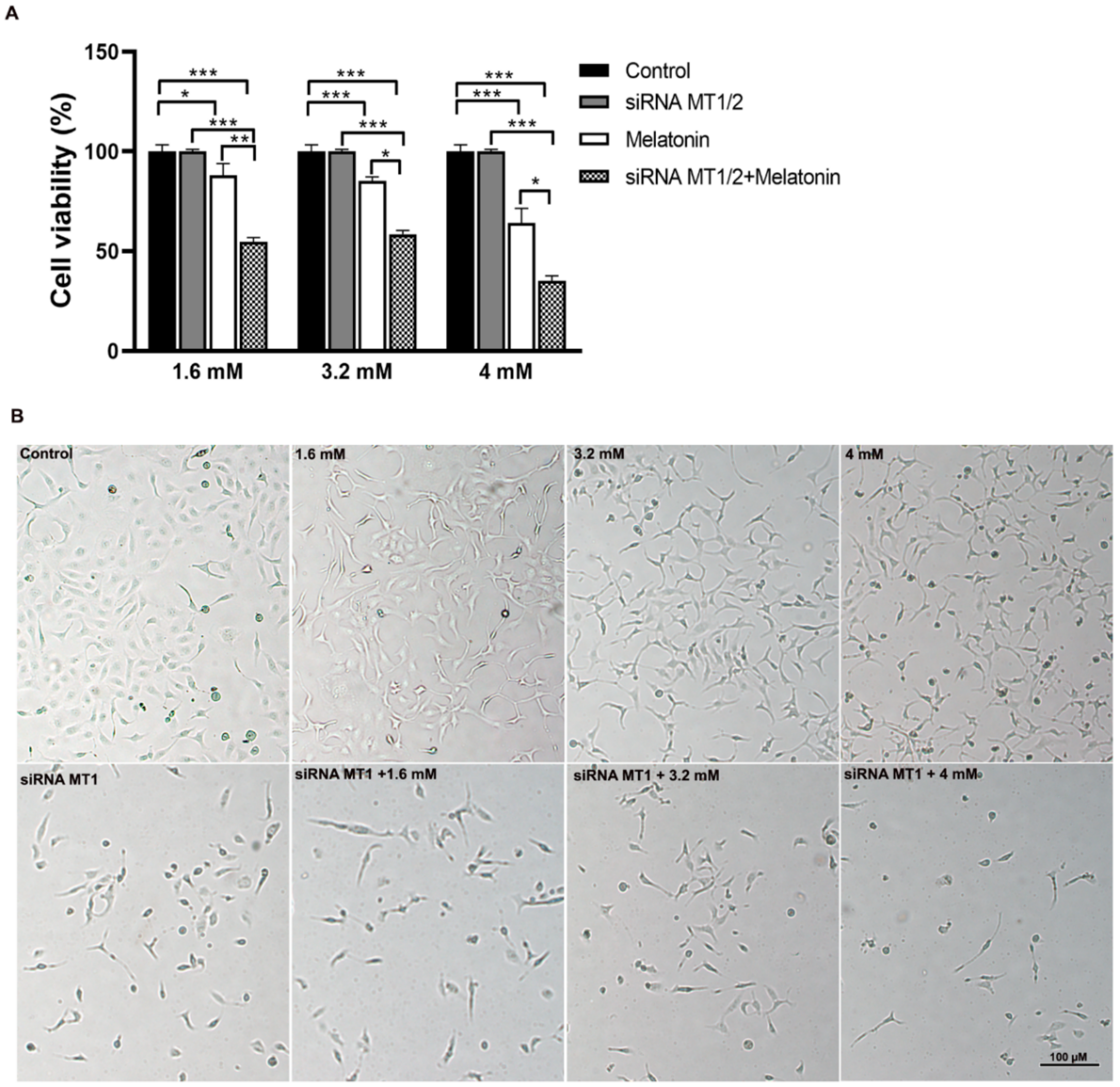 Molecules 27 04350 g001 Molecules 27 04350 g001