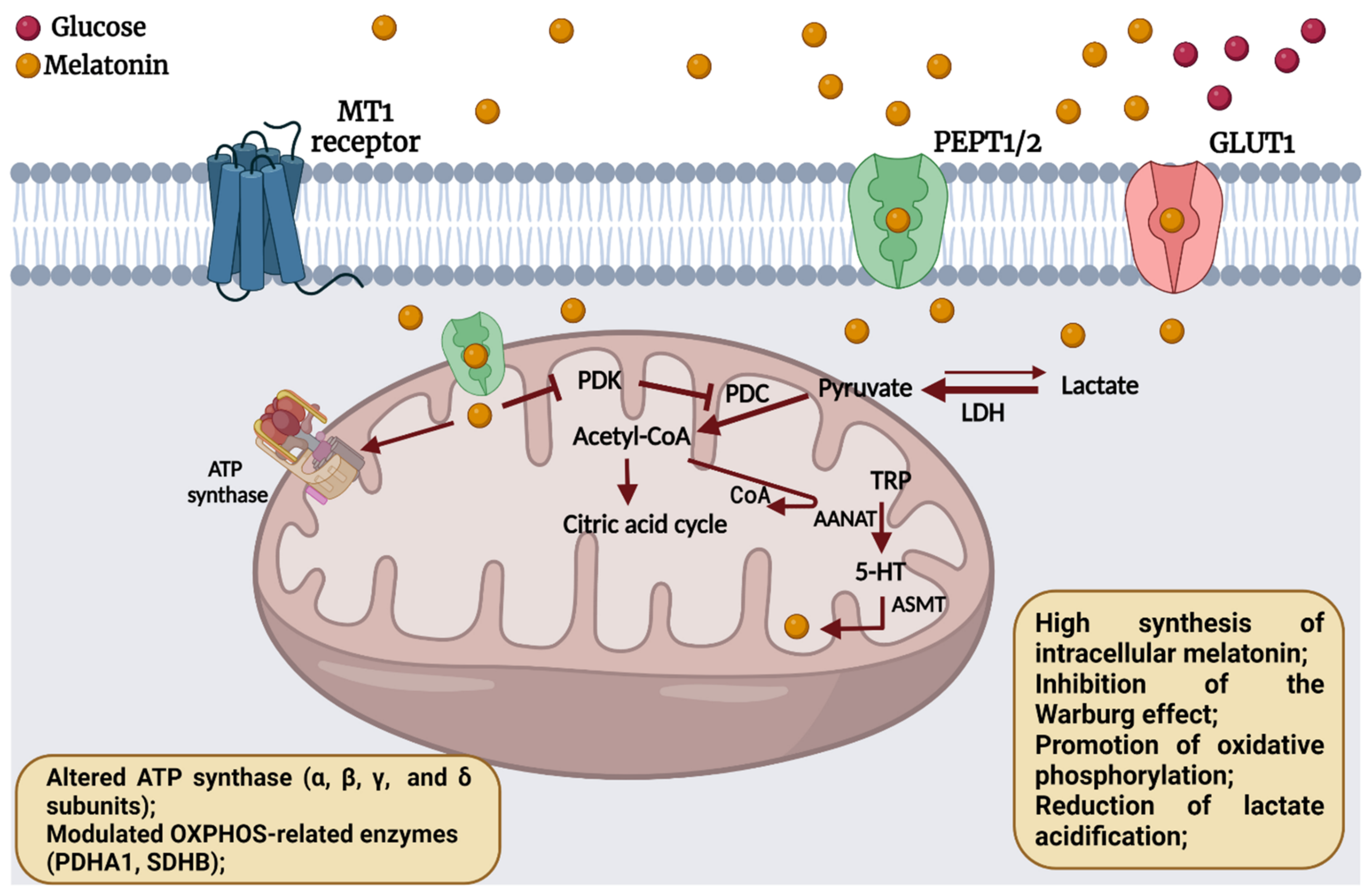 Molecules 27 04350 g005 Molecules 27 04350 g005