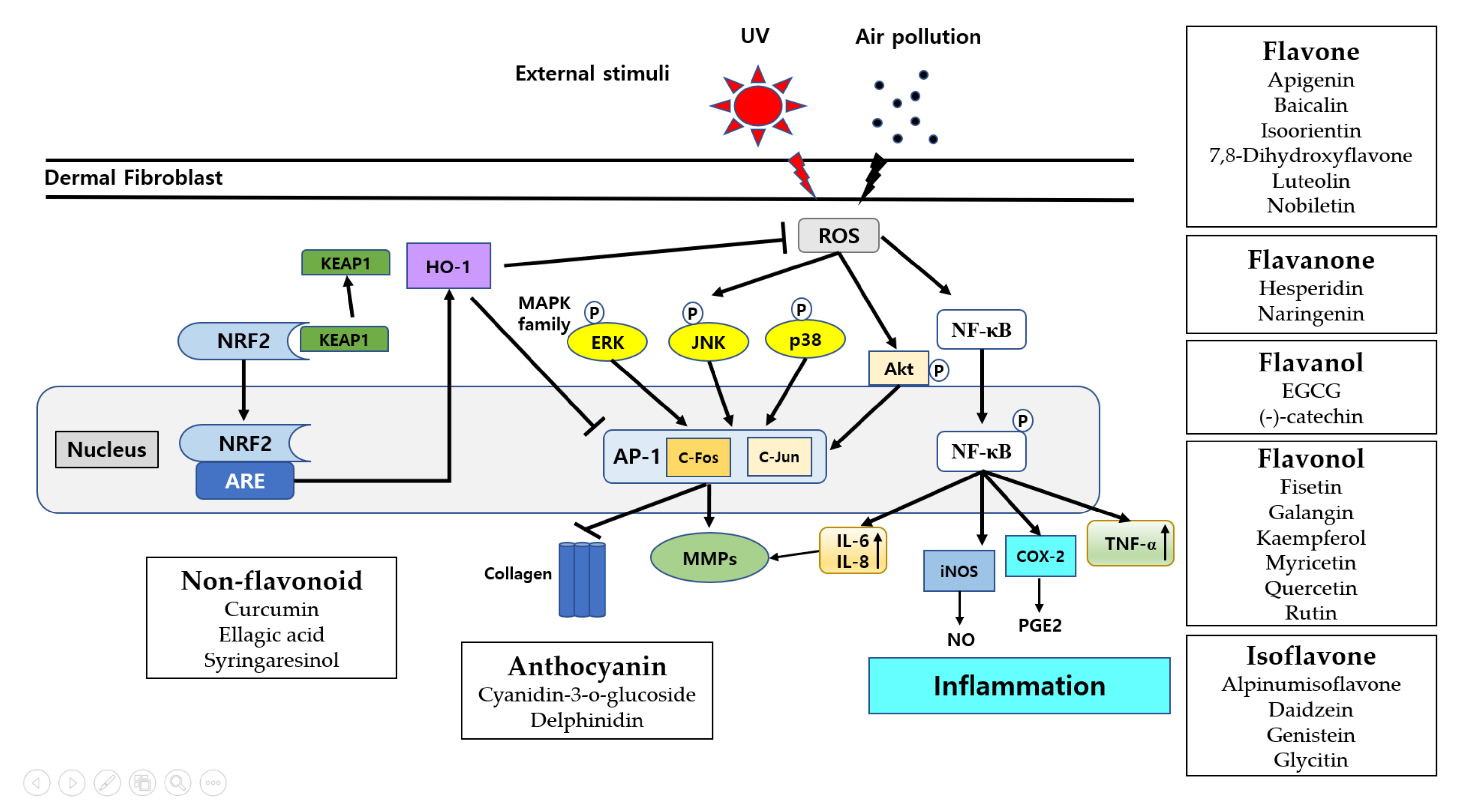 Molecules 27 04351 g001