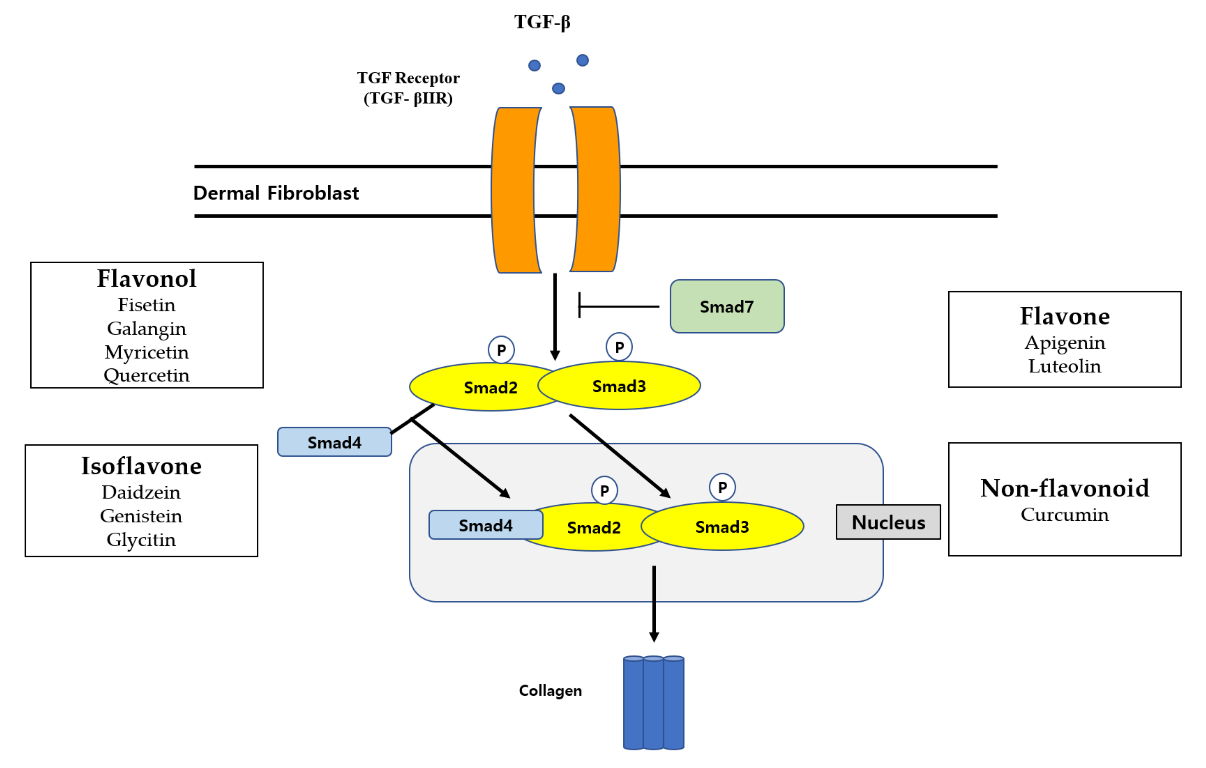 Molecules 27 04351 g002