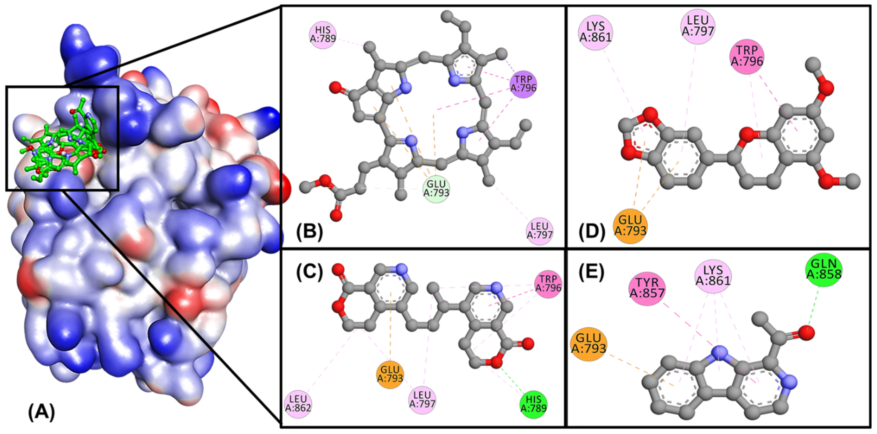 Molecules 27 04358 g001