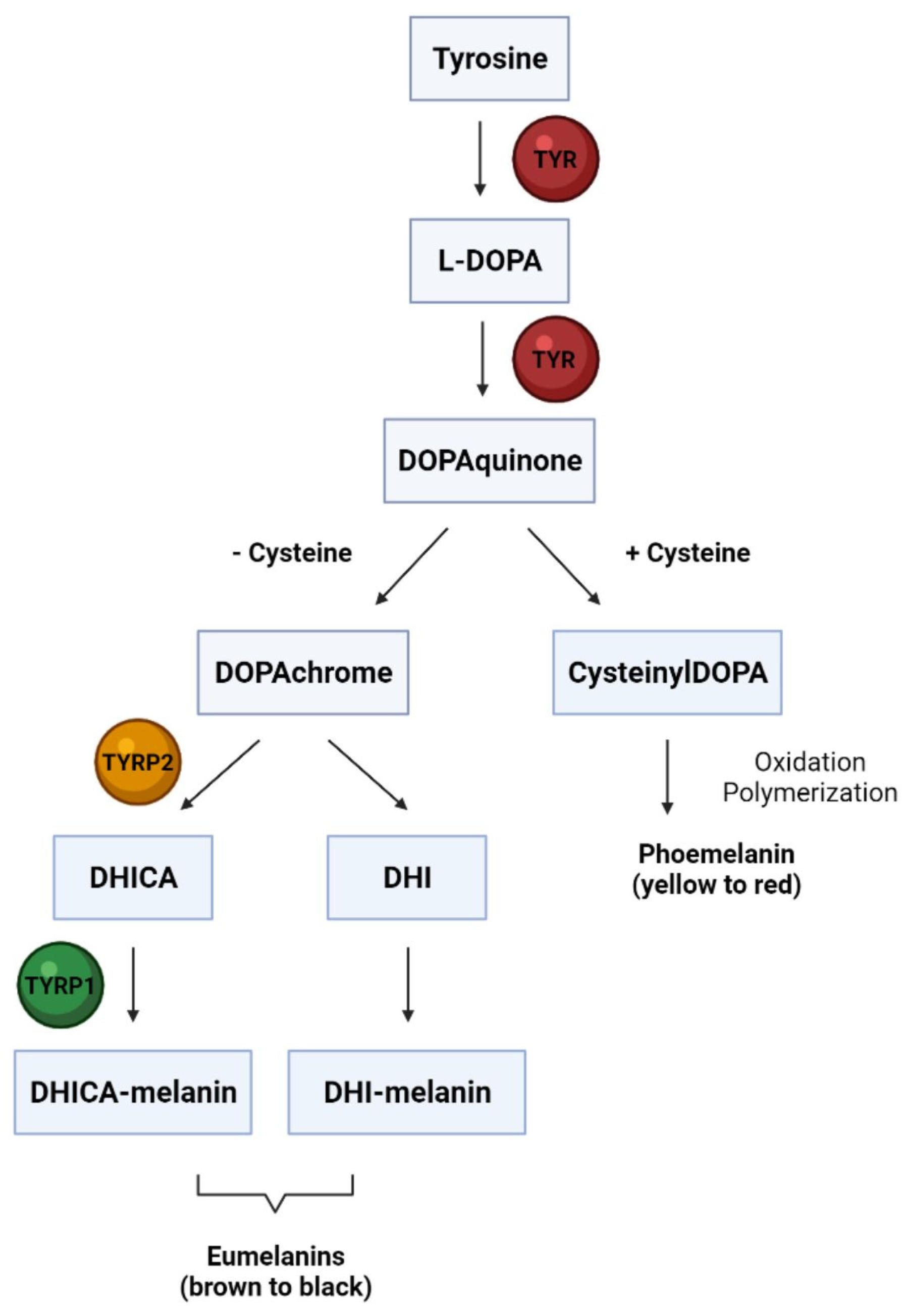 Molecules 27 04360 g001 Molecules 27 04360 g001