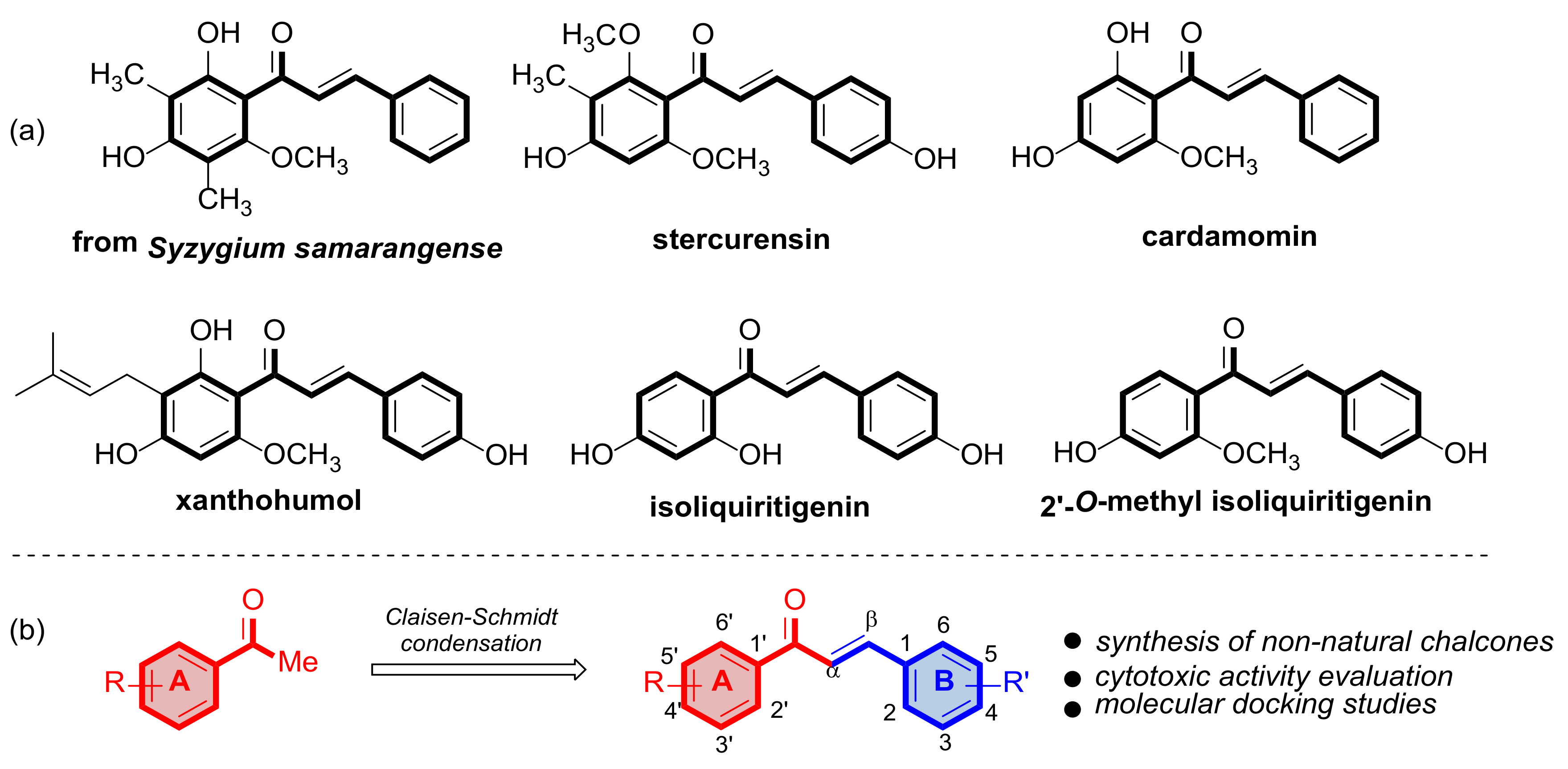 Molecules 27 04387 g001
