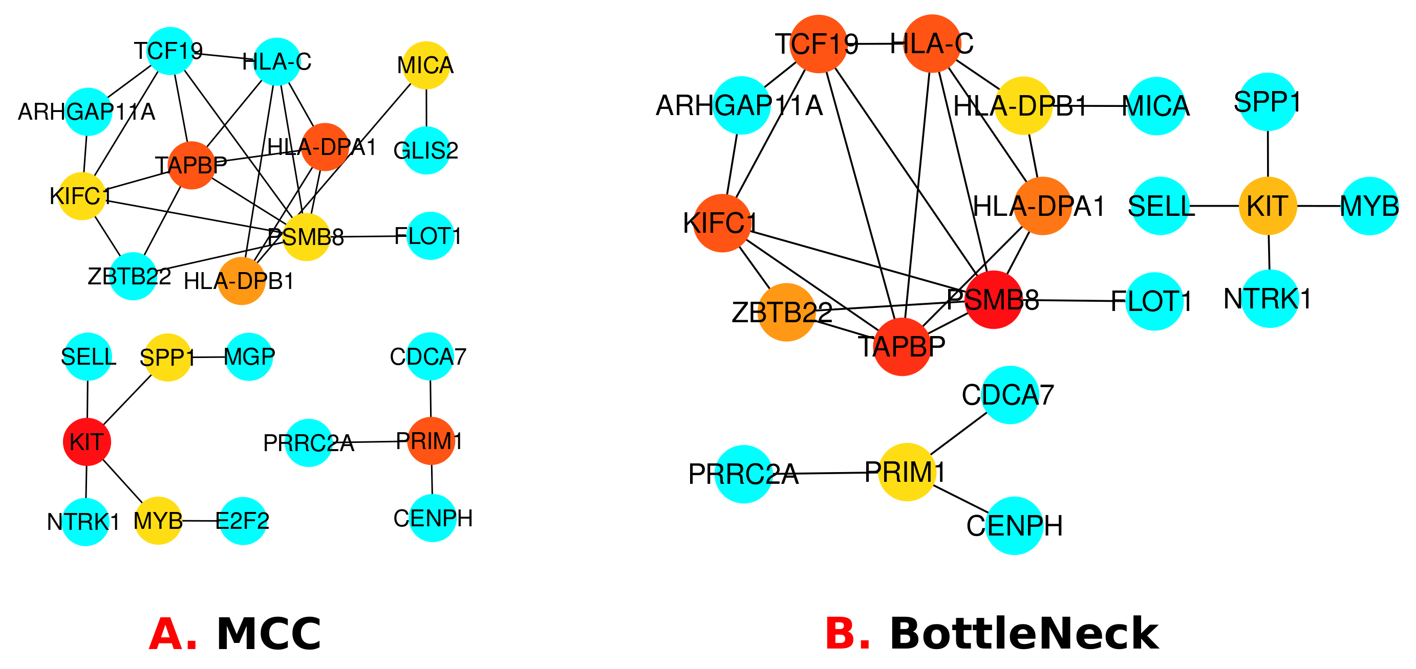 Molecules 27 04390 g007