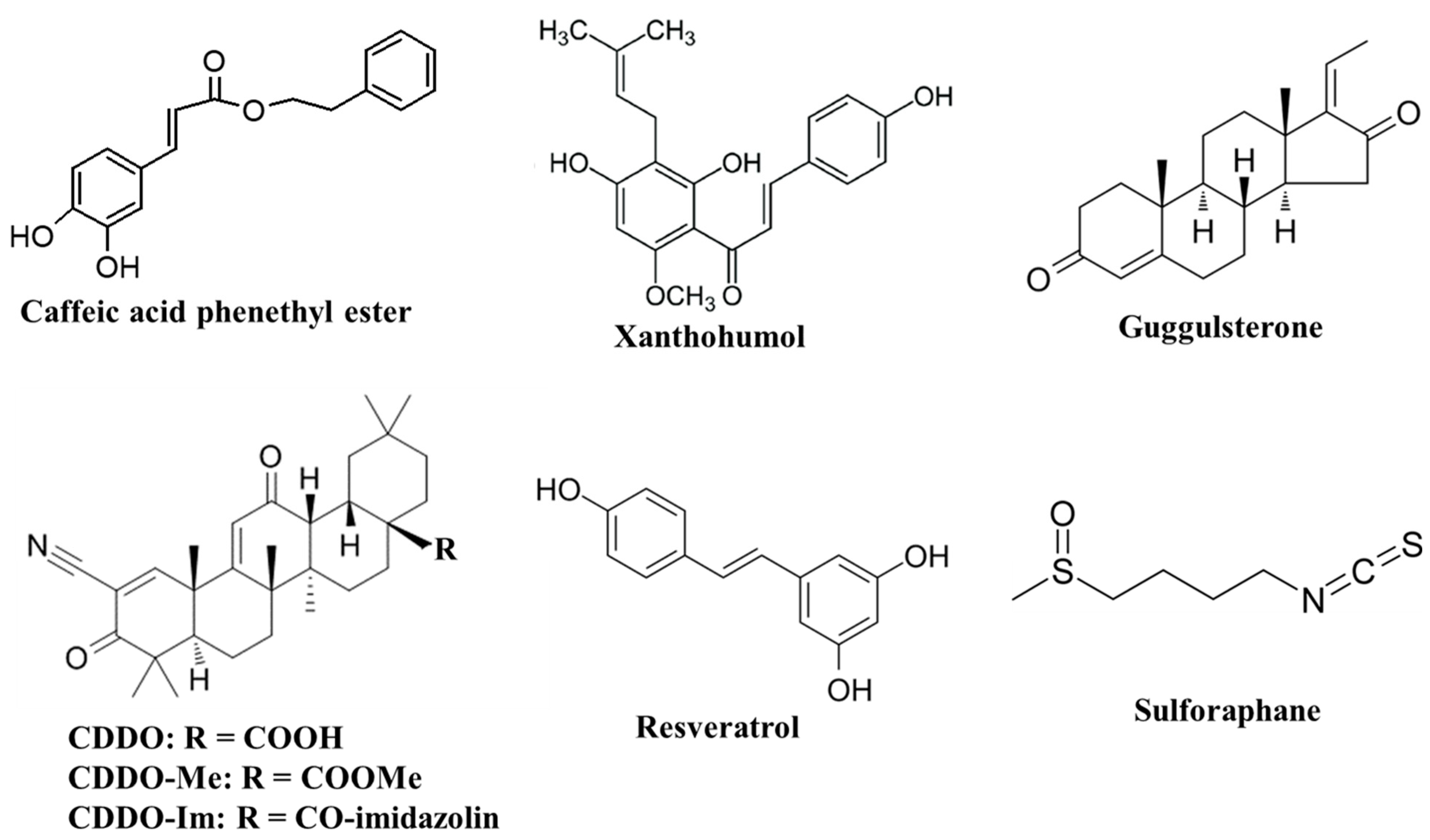 Molecules 27 04396 g001