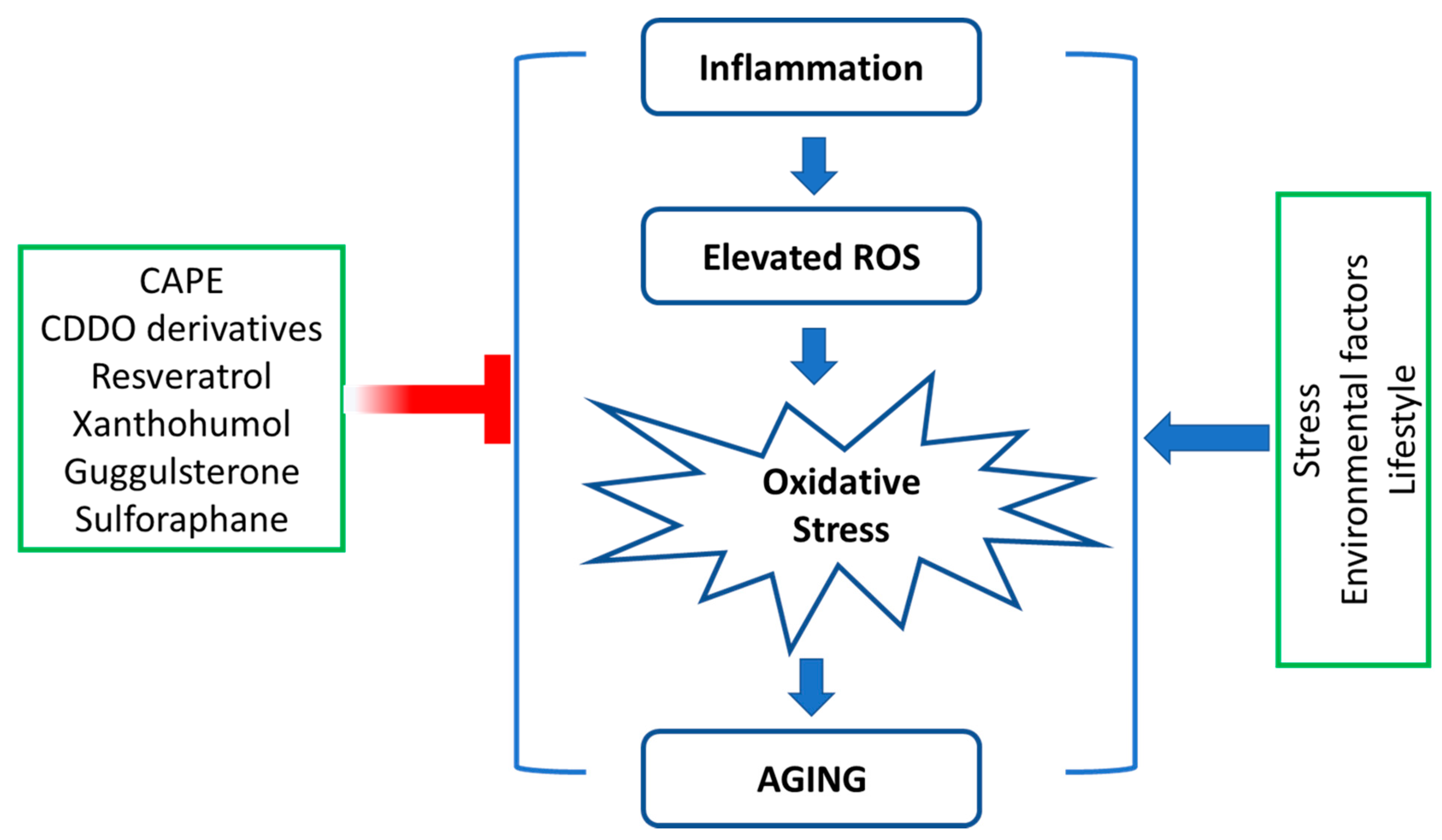 Molecules 27 04396 g003