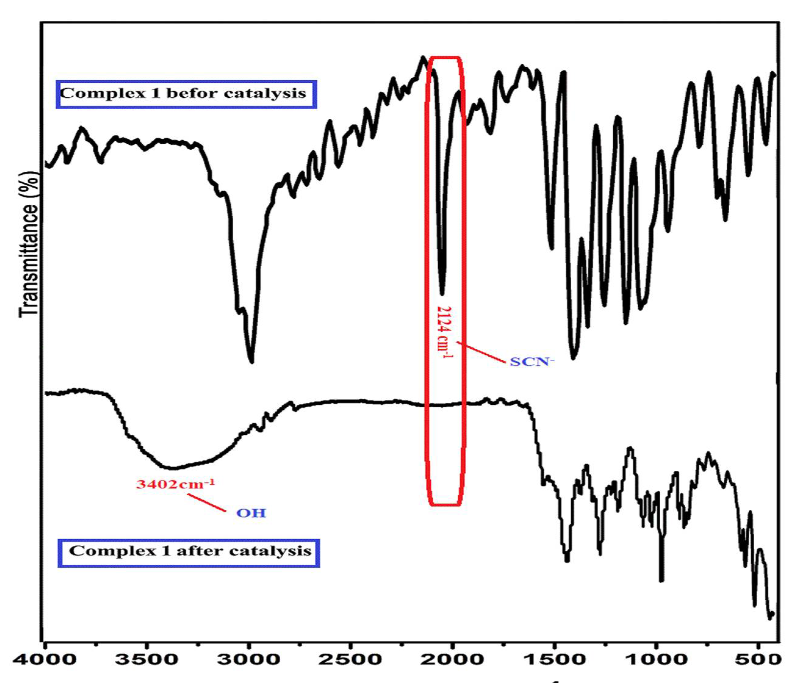 Molecules 27 04406 g011 550