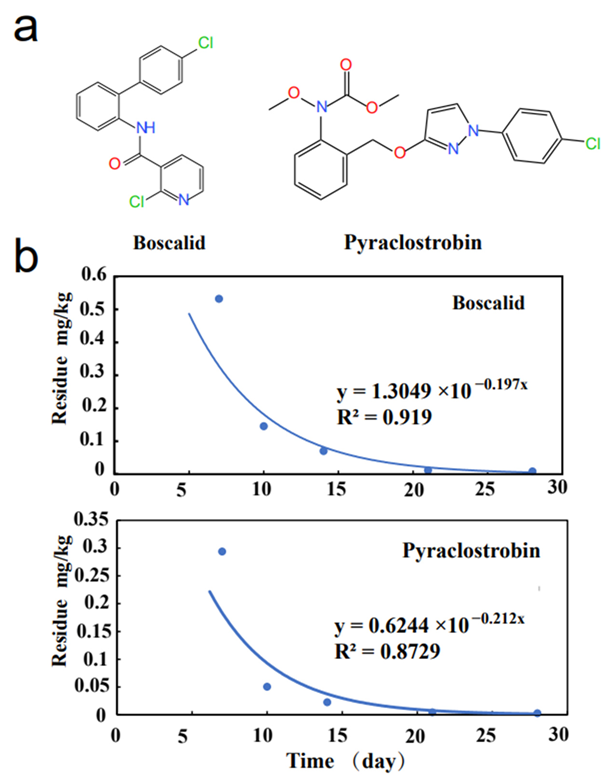 Molecules 27 04410 g001