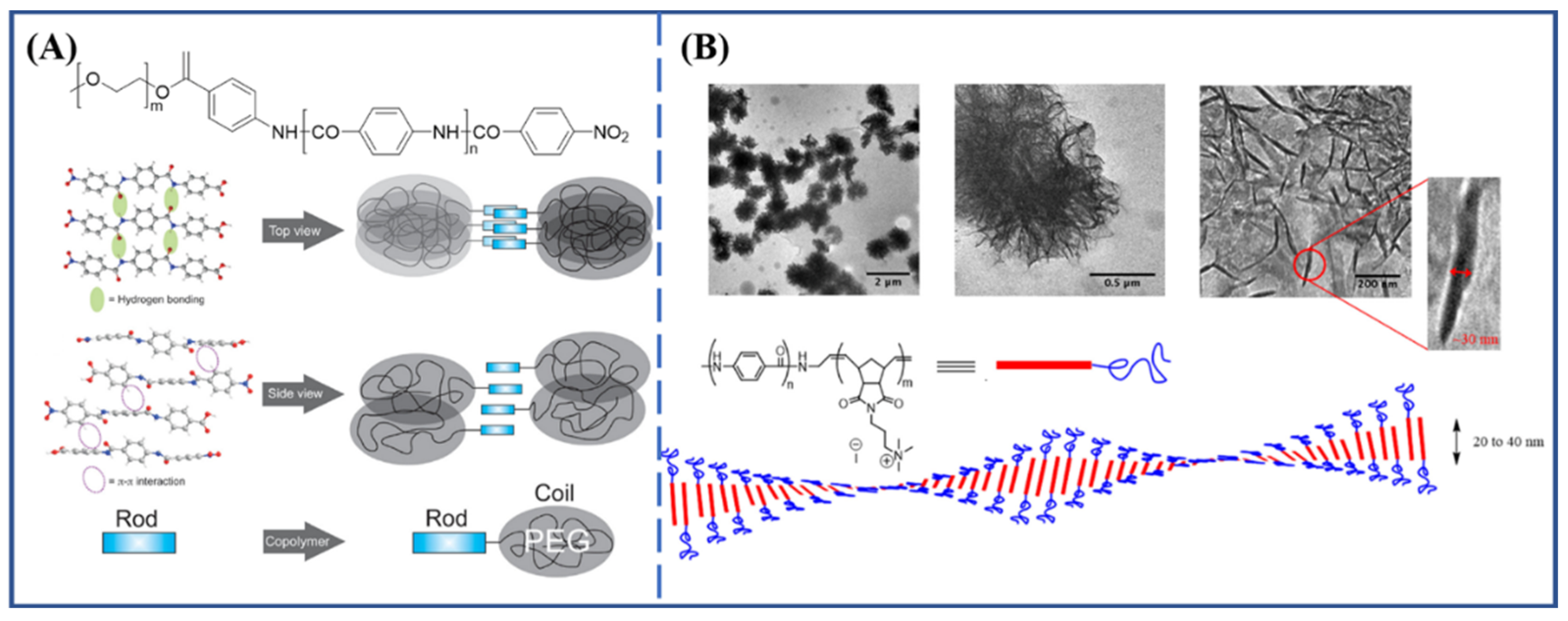 Molecules 27 04413 g003