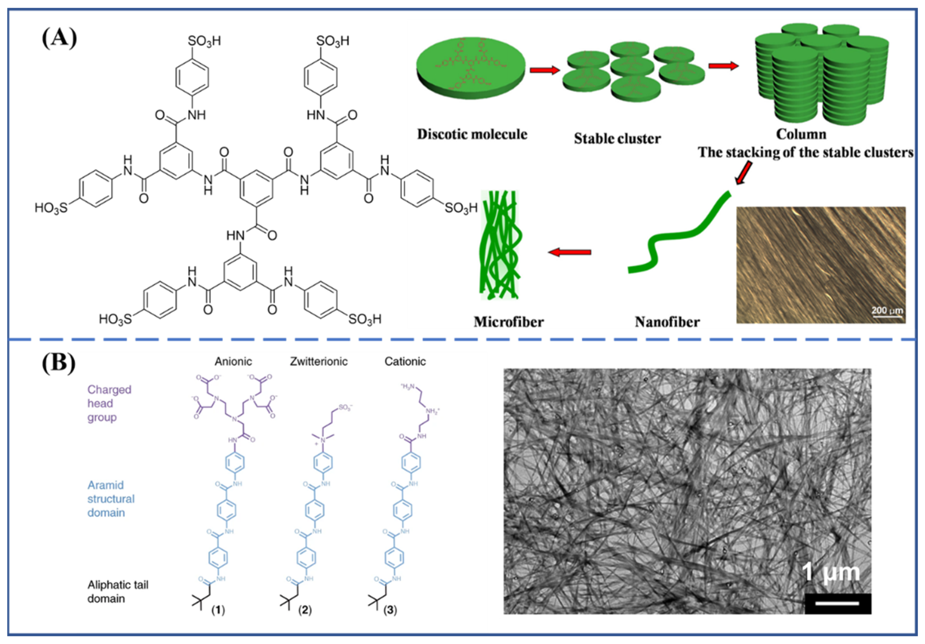 Molecules 27 04413 g004