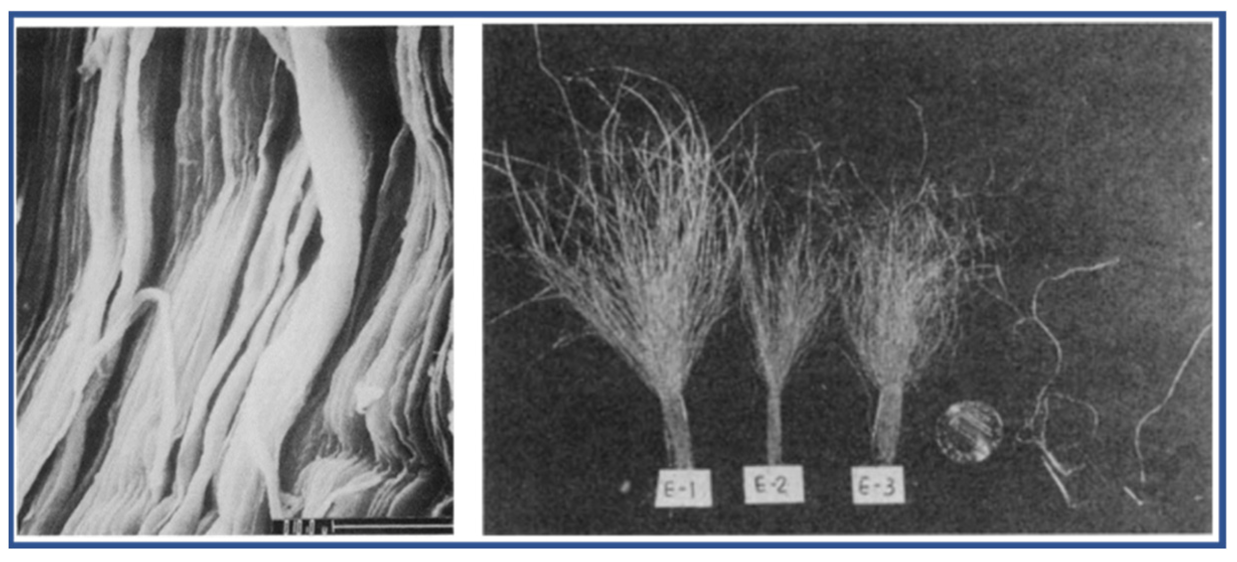 Molecules 27 04413 g005
