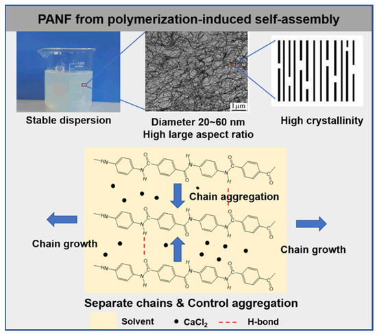Recent Advances in Self-Assembly and Application of Para-Aramids