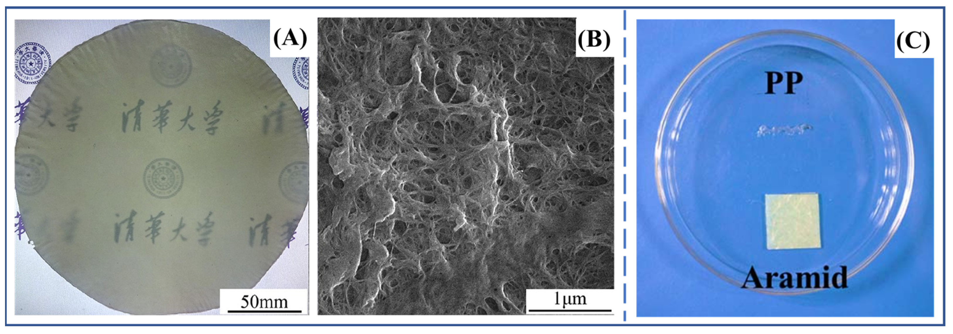 Molecules 27 04413 g008