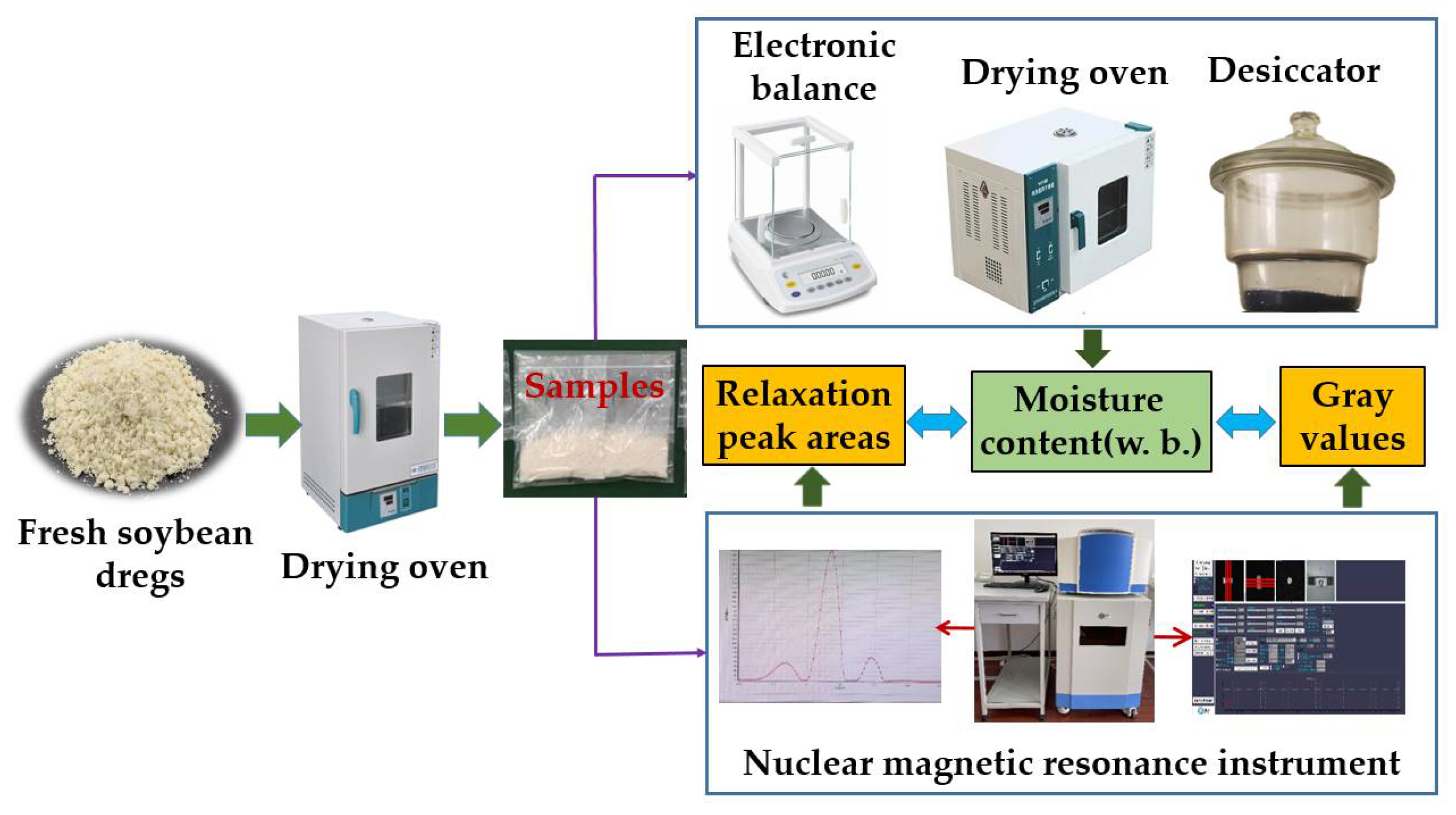 Molecules Free FullText Water Status and Predictive Models of