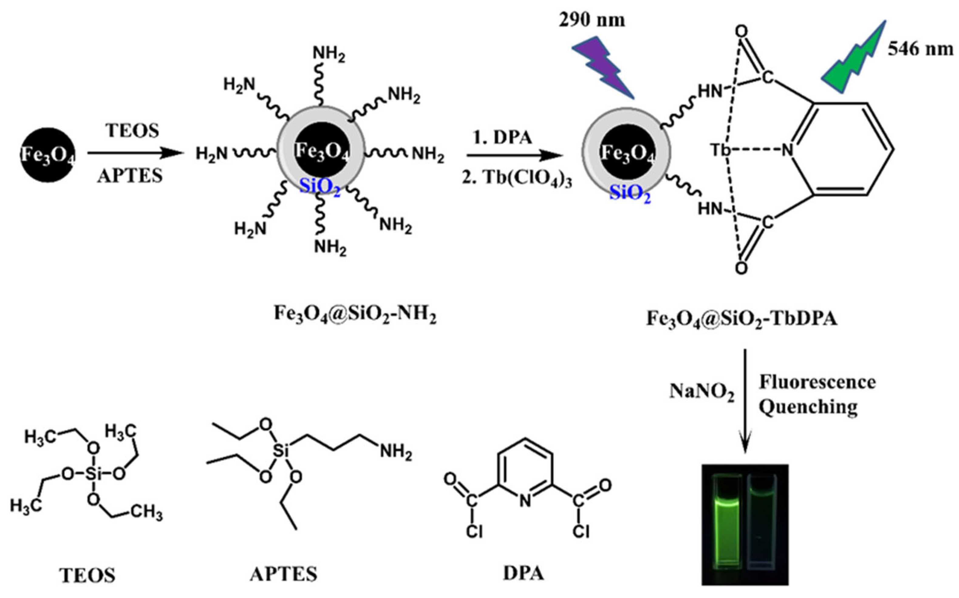 Molecules 27 04431 g001