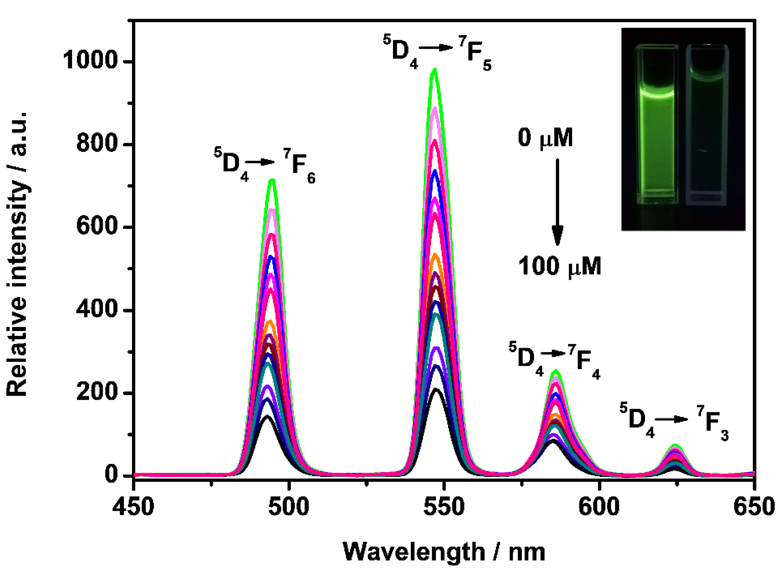 Molecules 27 04431 g005