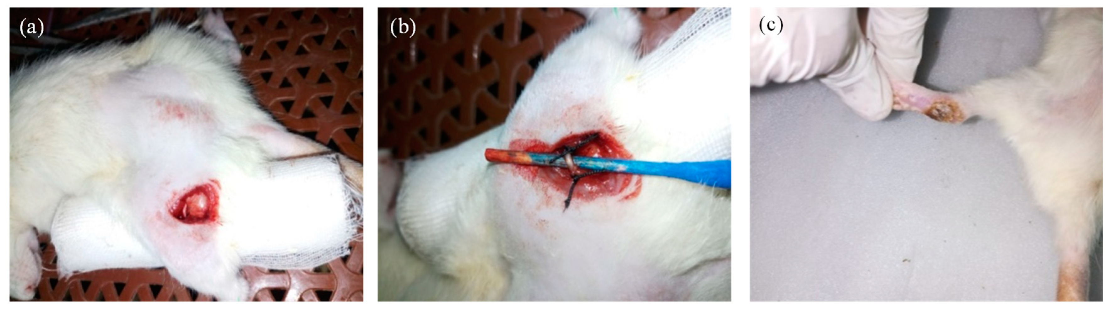 Molecules 27 04433 g001