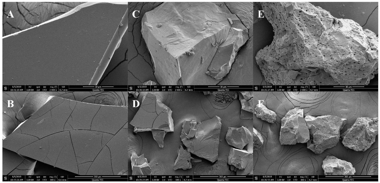 Molecules 27 04439 g001