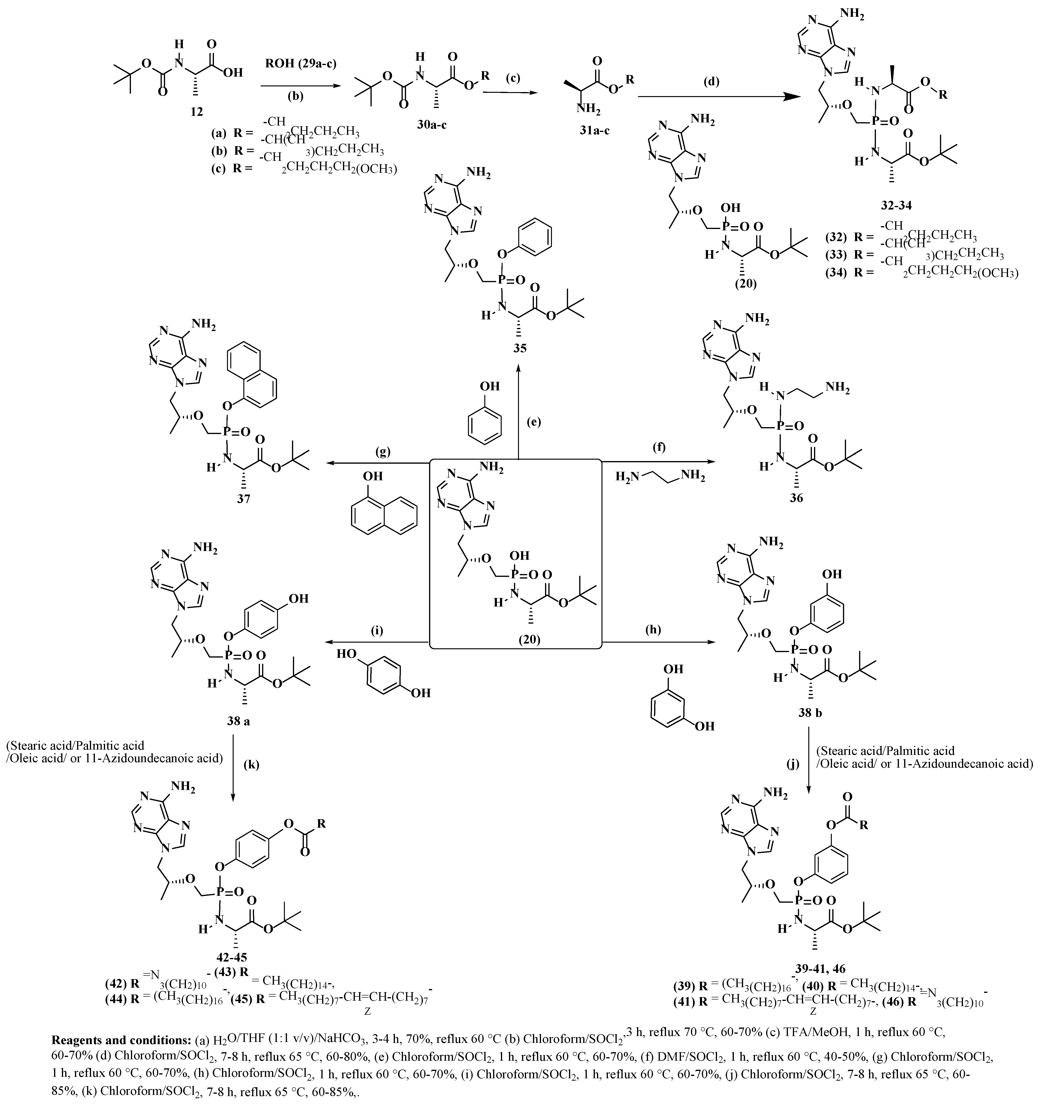 Molecules 27 04447 sch003