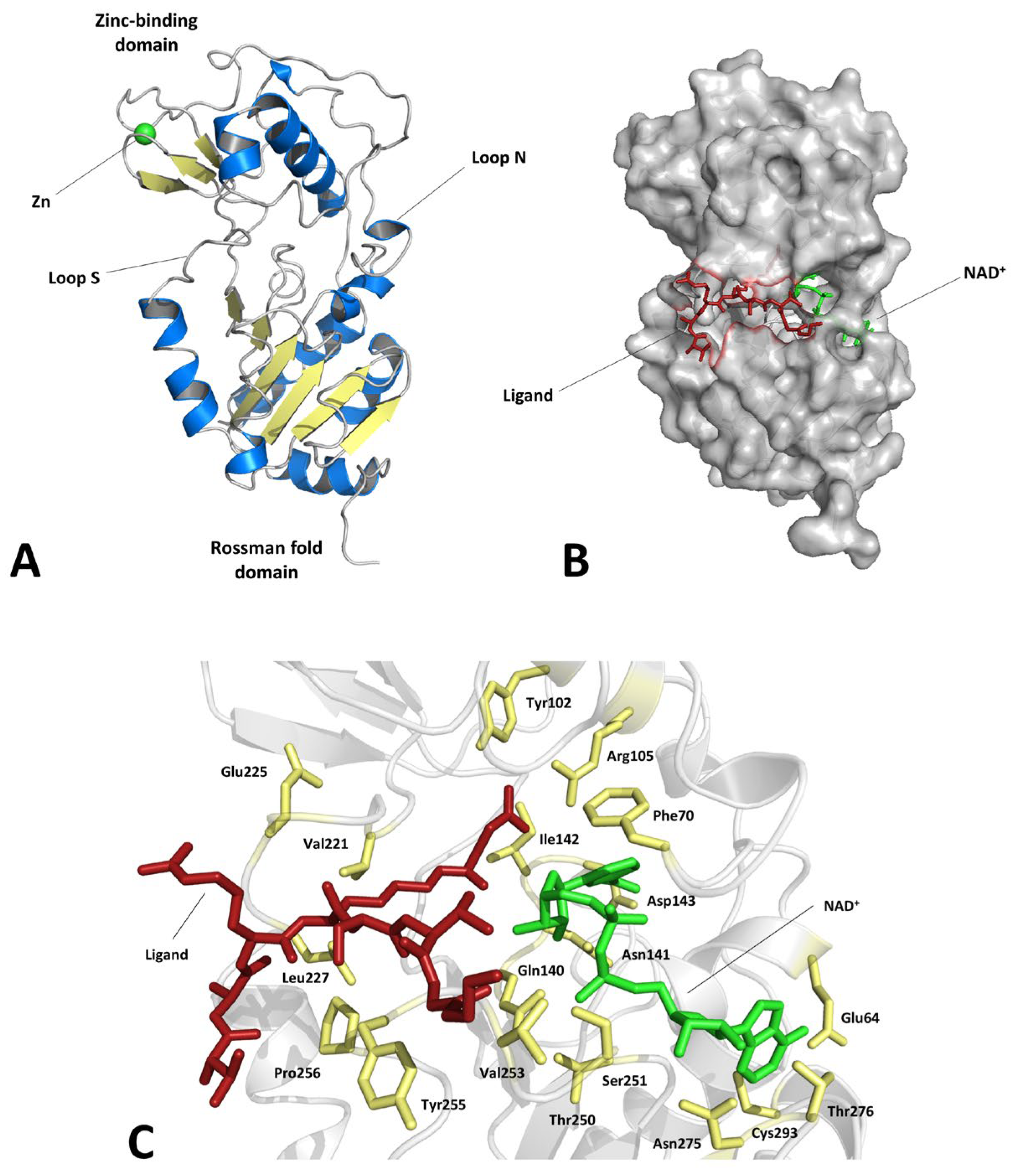 Molecules 27 04449 g001