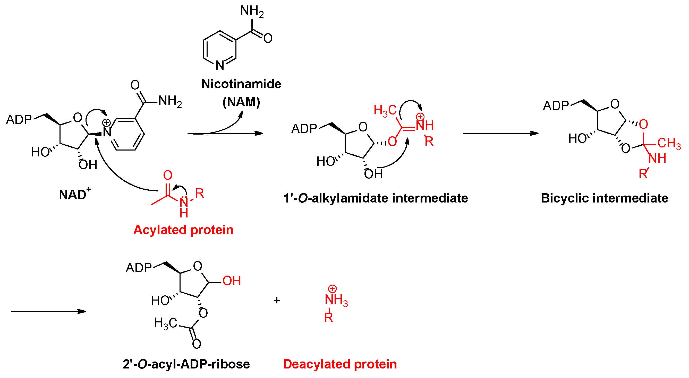 Molecules 27 04449 sch001