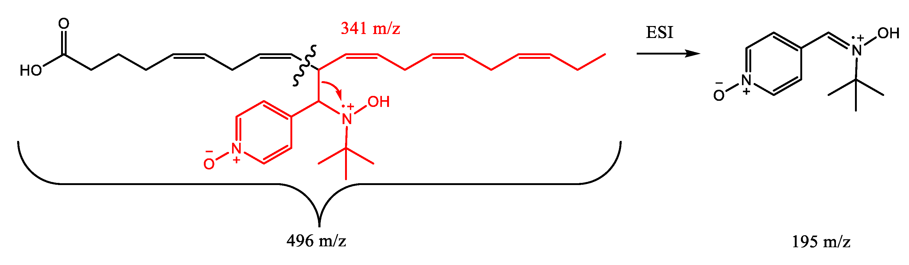 Prophet Addicted Integrate Molecules | Free Full-Text | Lipid Peroxidation in Algae Oil: Antagonist Effects of Natural Antioxidants | HTML Prophet Addicted Integrate Molecules | Free Full-Text | Lipid Peroxidation in Algae Oil: Antagonist Effects of Natural Antioxidants | HTML