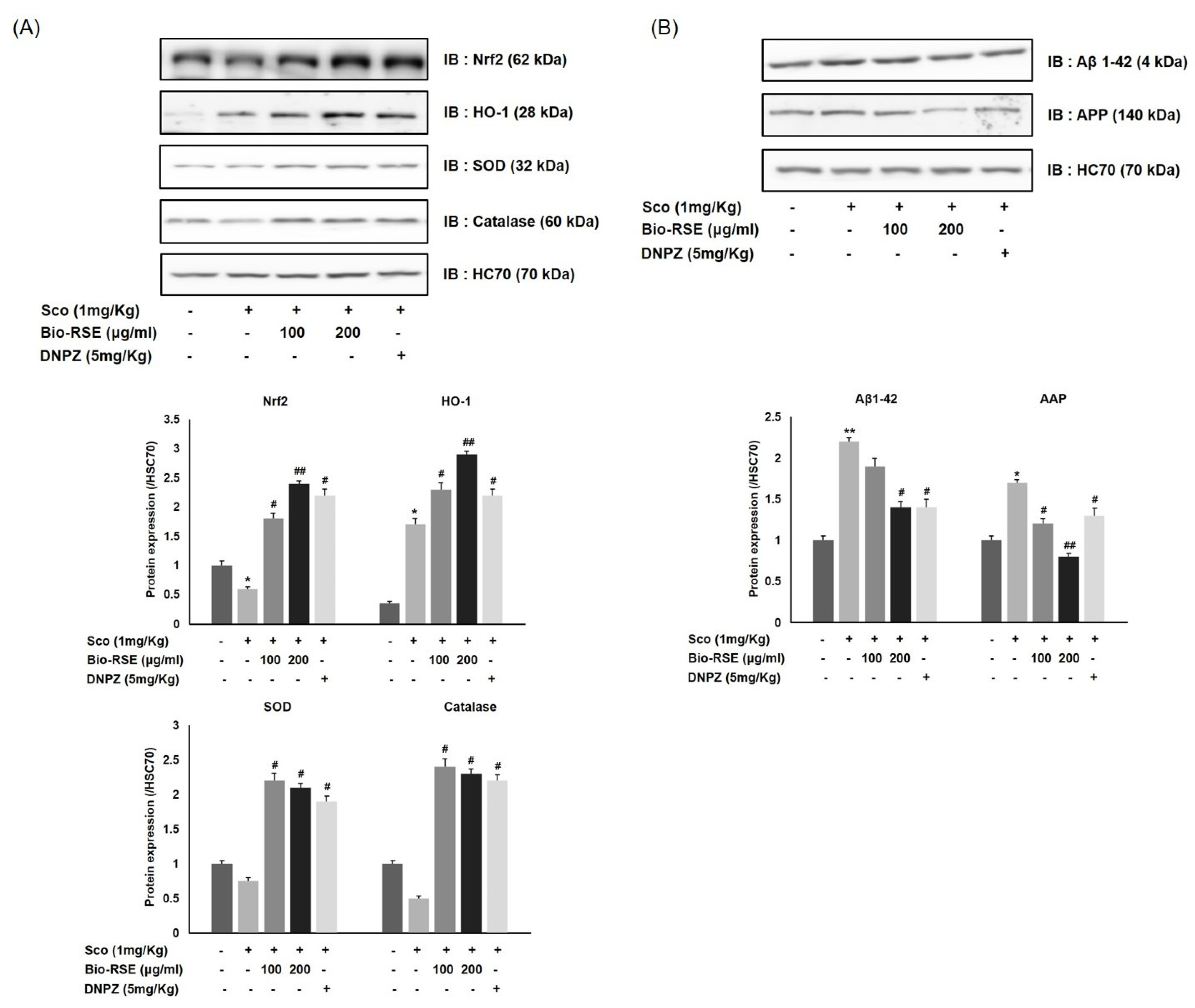 Molecules 27 04455 g006