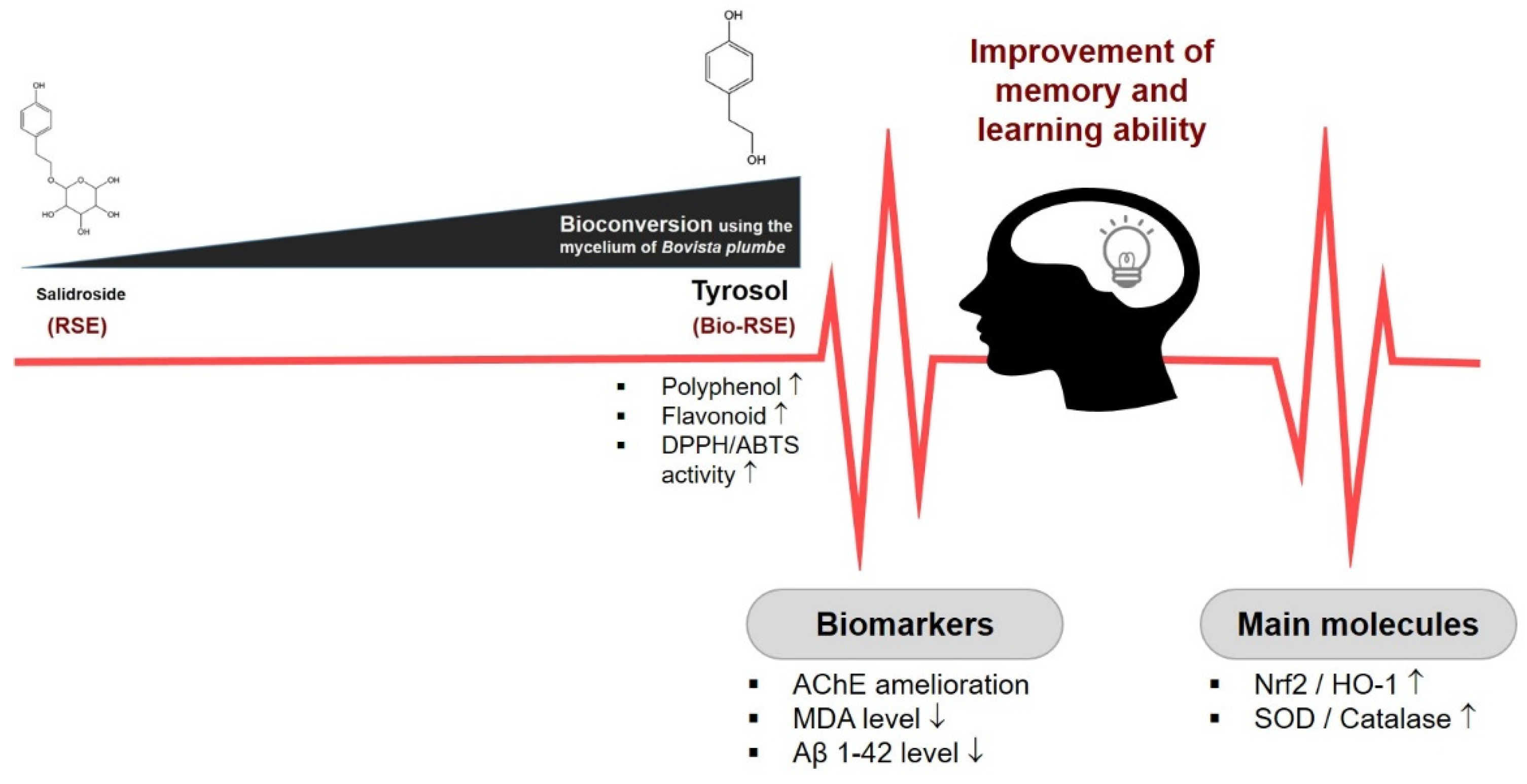 Molecules 27 04455 g007