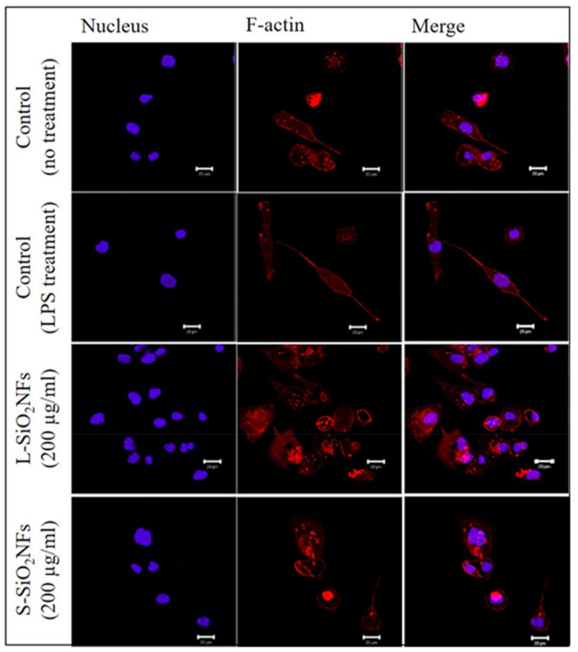 Molecules 27 04456 g005 550