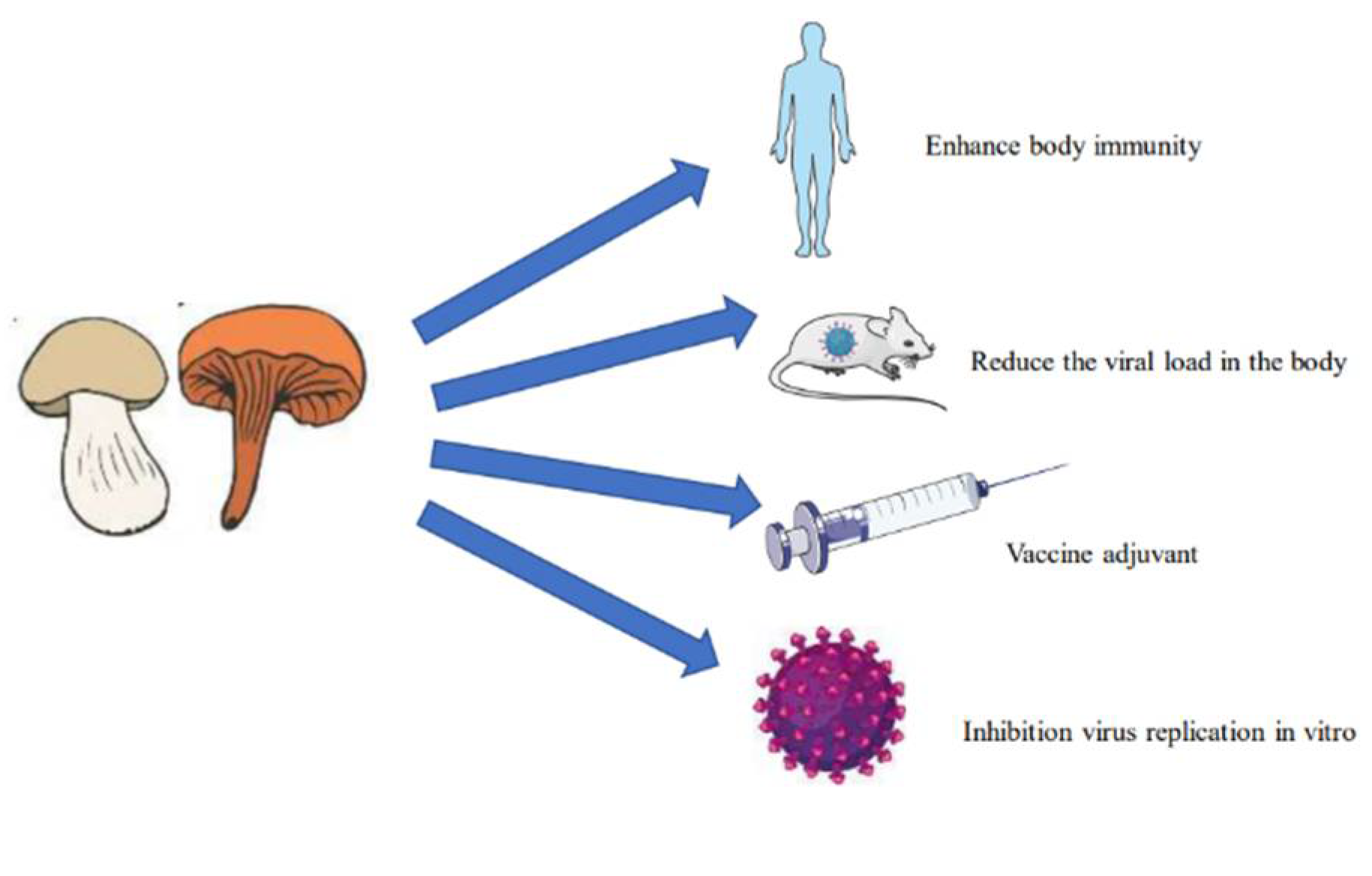 Molecules 27 04457 g001 Molecules 27 04457 g001