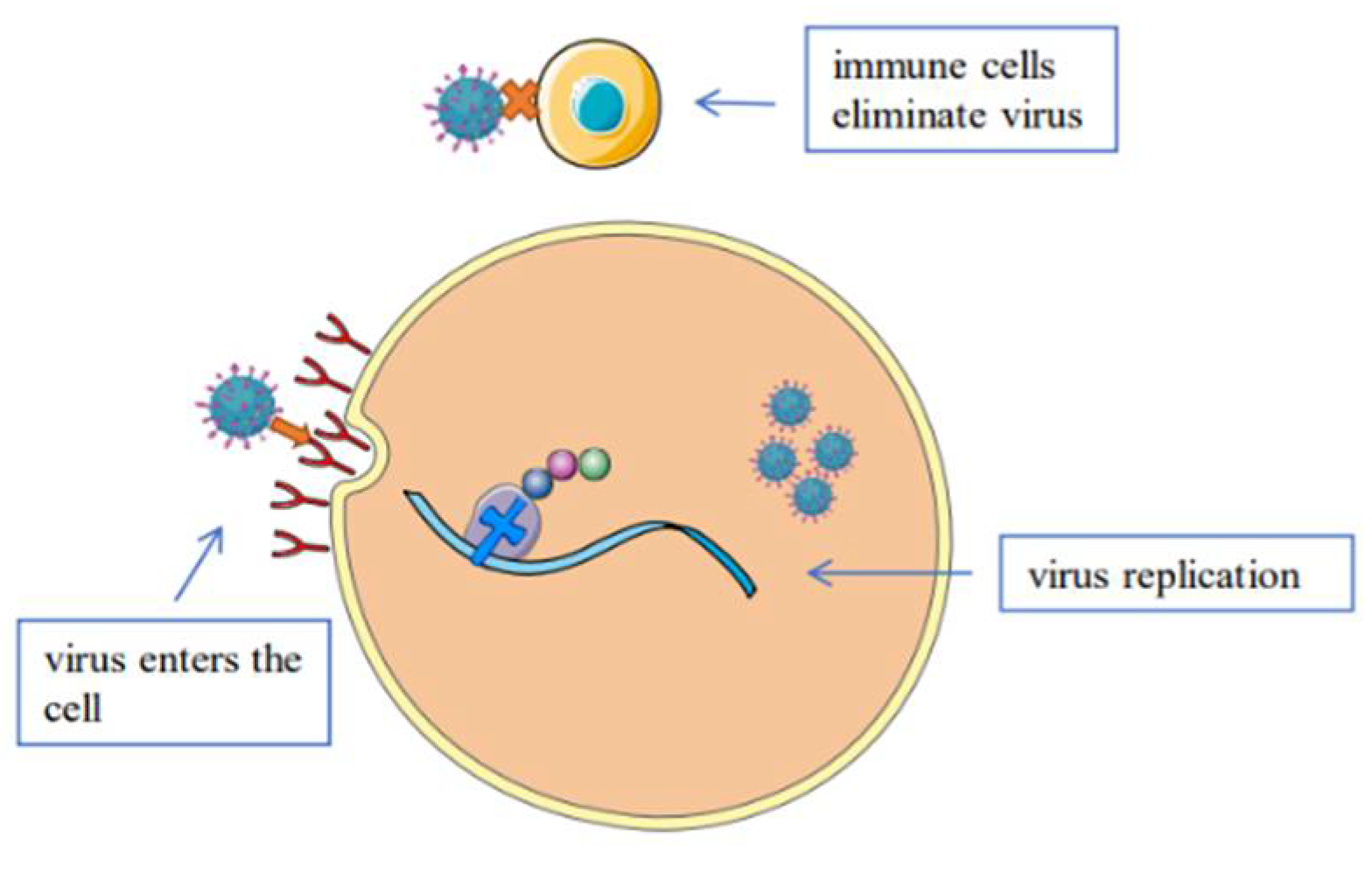 Molecules 27 04457 g002 Molecules 27 04457 g002