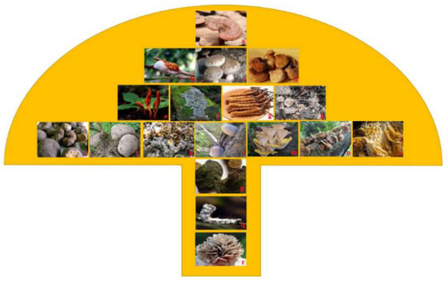 Molecules 27 04457 g003 Molecules 27 04457 g003