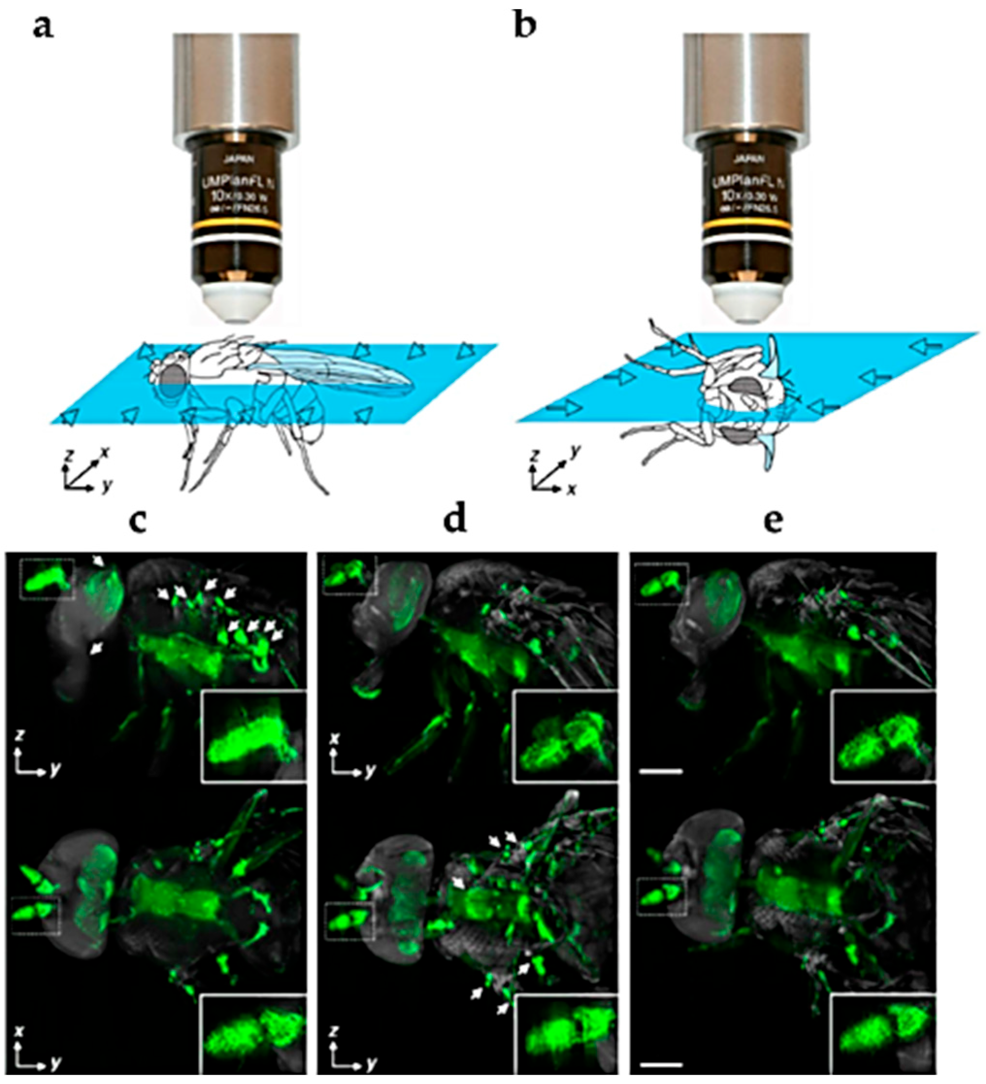 Molecules 27 04458 g002 Molecules 27 04458 g002