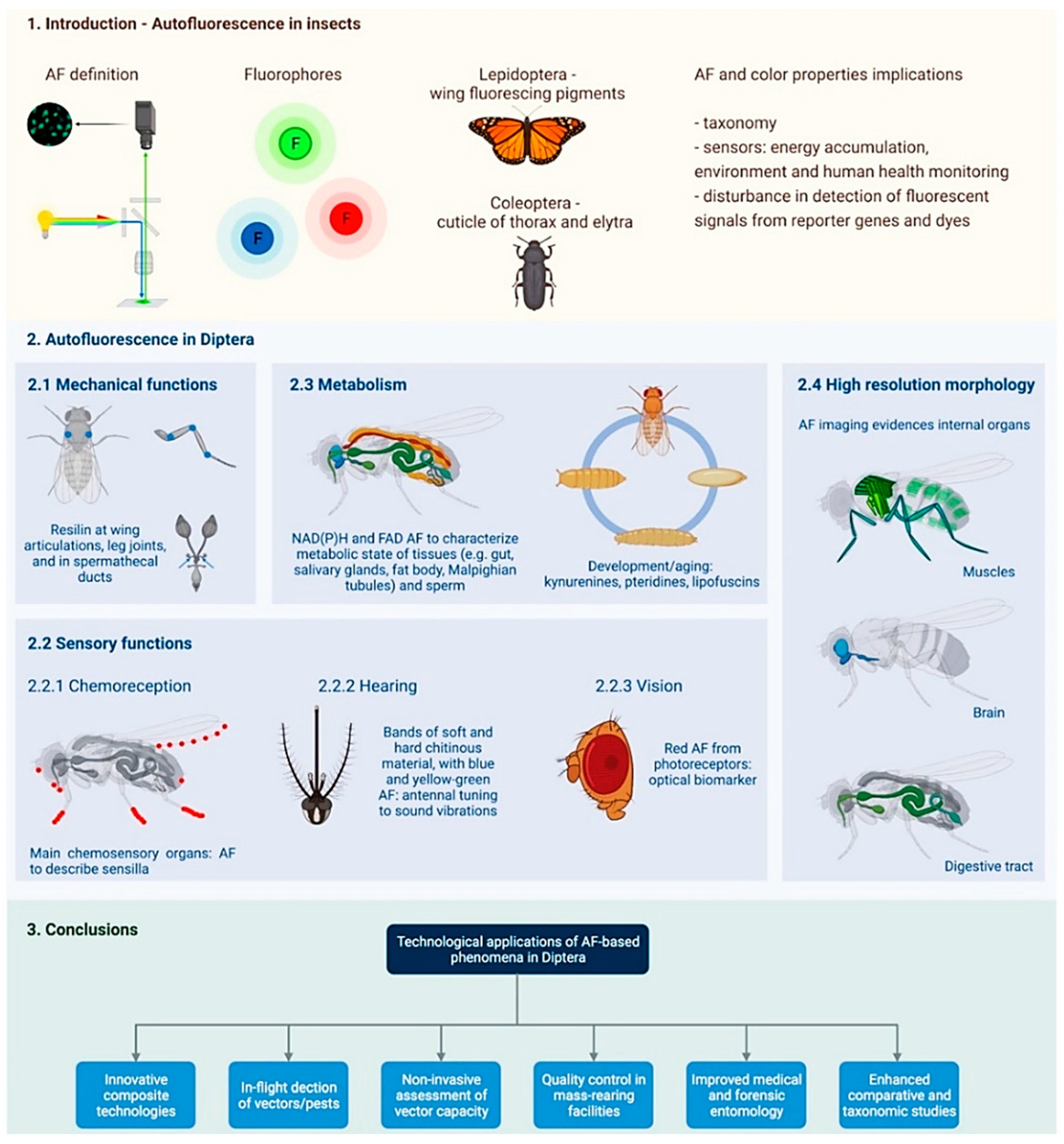 Molecules 27 04458 g003 Molecules 27 04458 g003