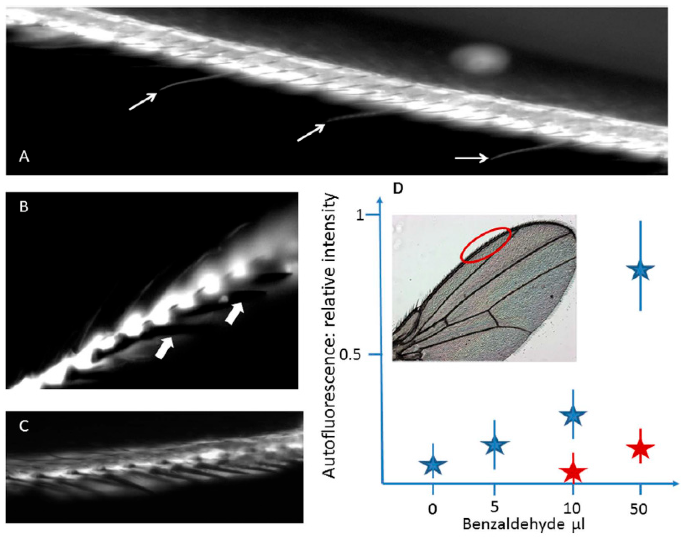 Molecules 27 04458 g005 Molecules 27 04458 g005