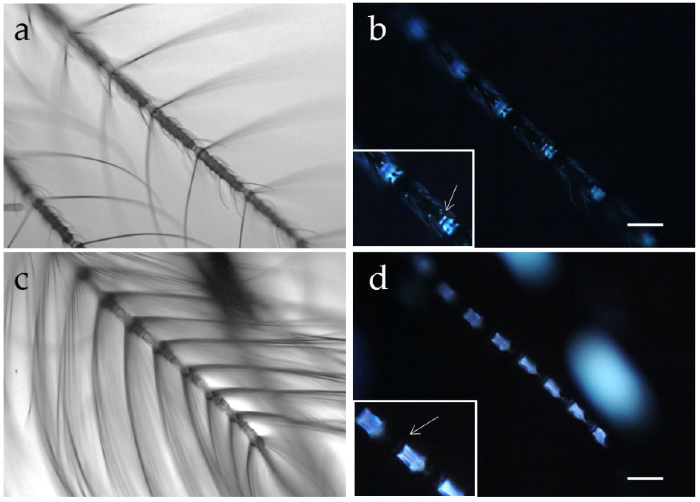 Molecules 27 04458 g006 Molecules 27 04458 g006