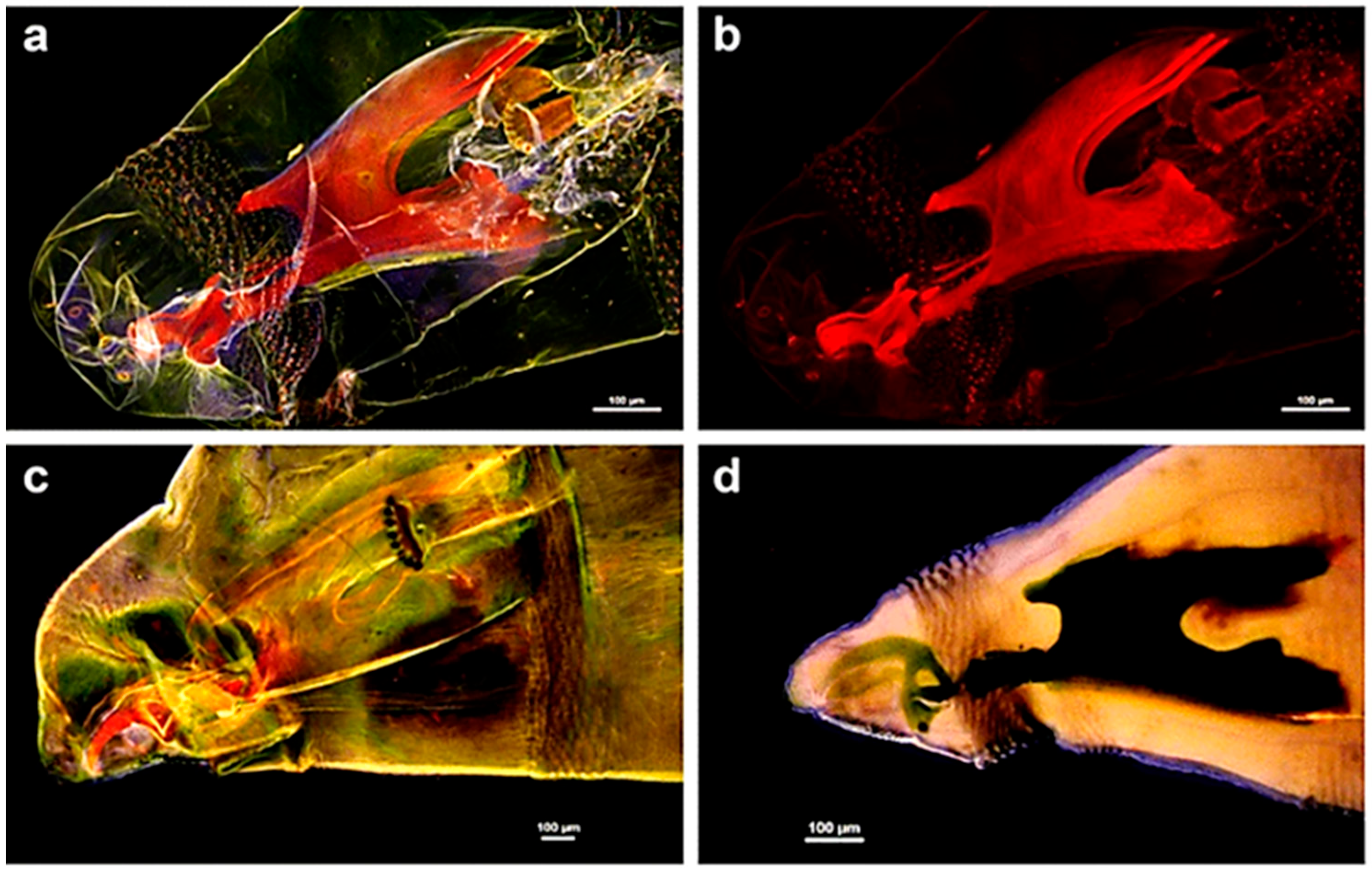 Molecules 27 04458 g010 Molecules 27 04458 g010