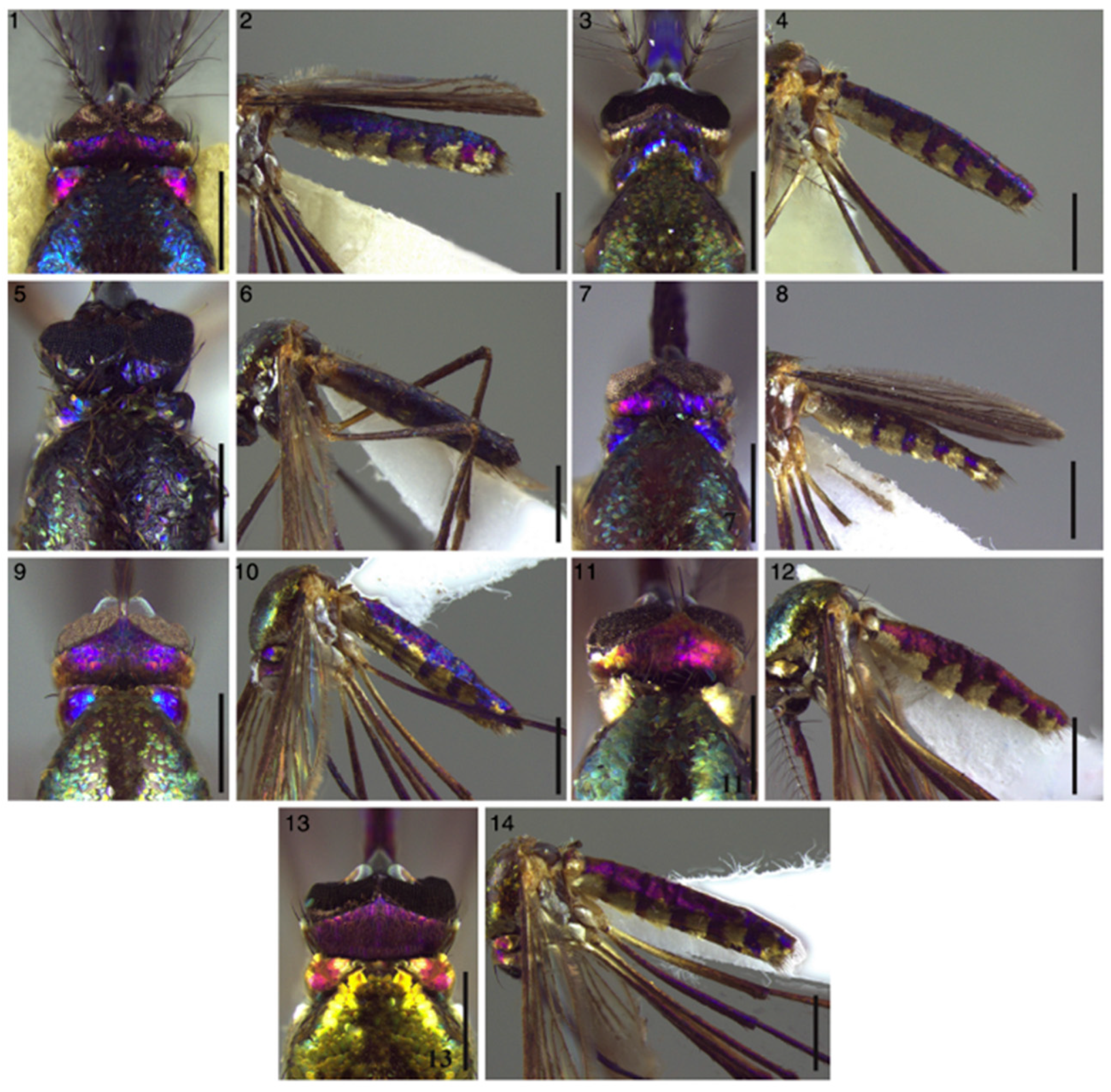 Molecules 27 04458 g012 Molecules 27 04458 g012