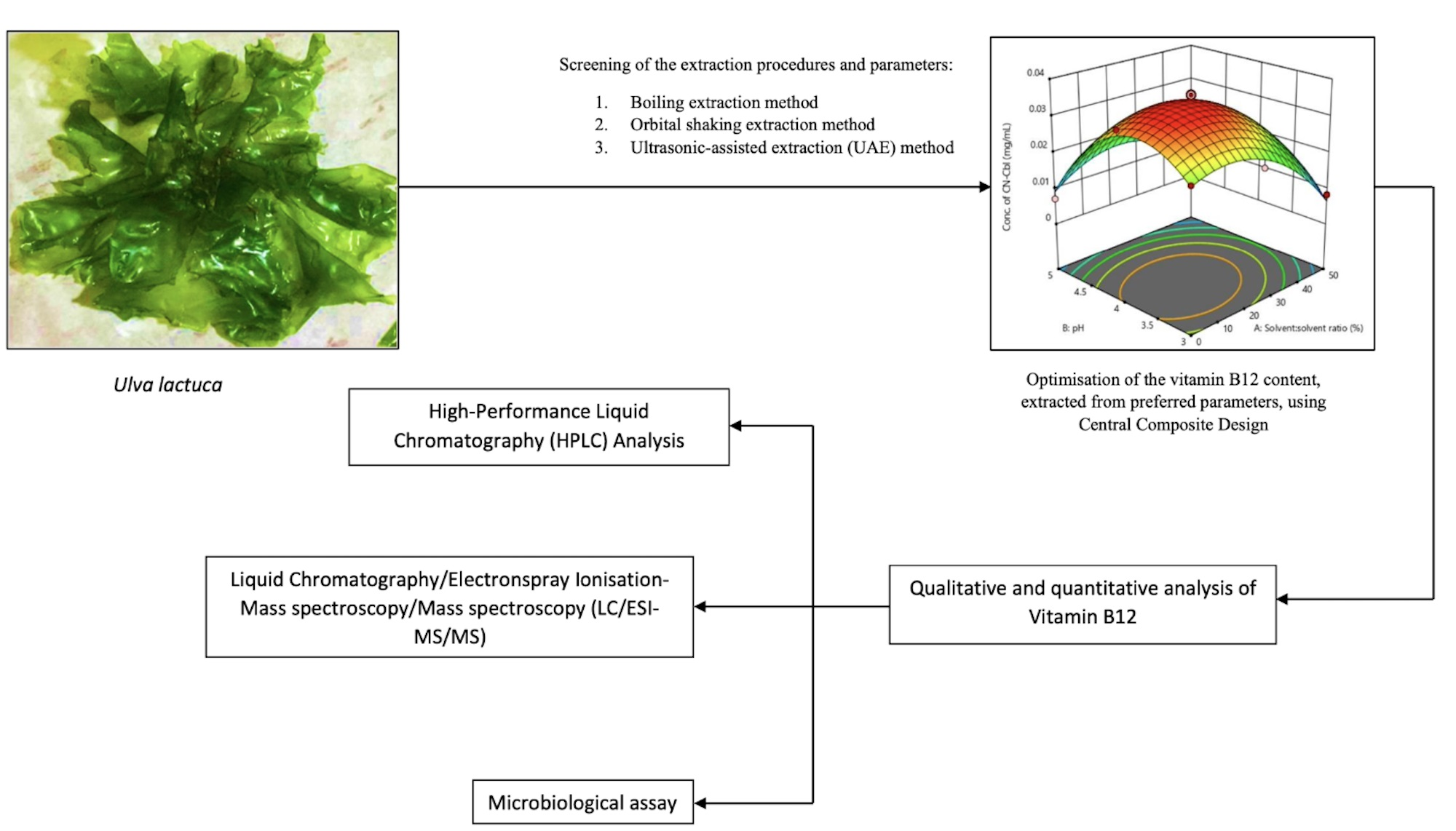Molecules Free FullText Optimisation of Vitamin B12 Extraction